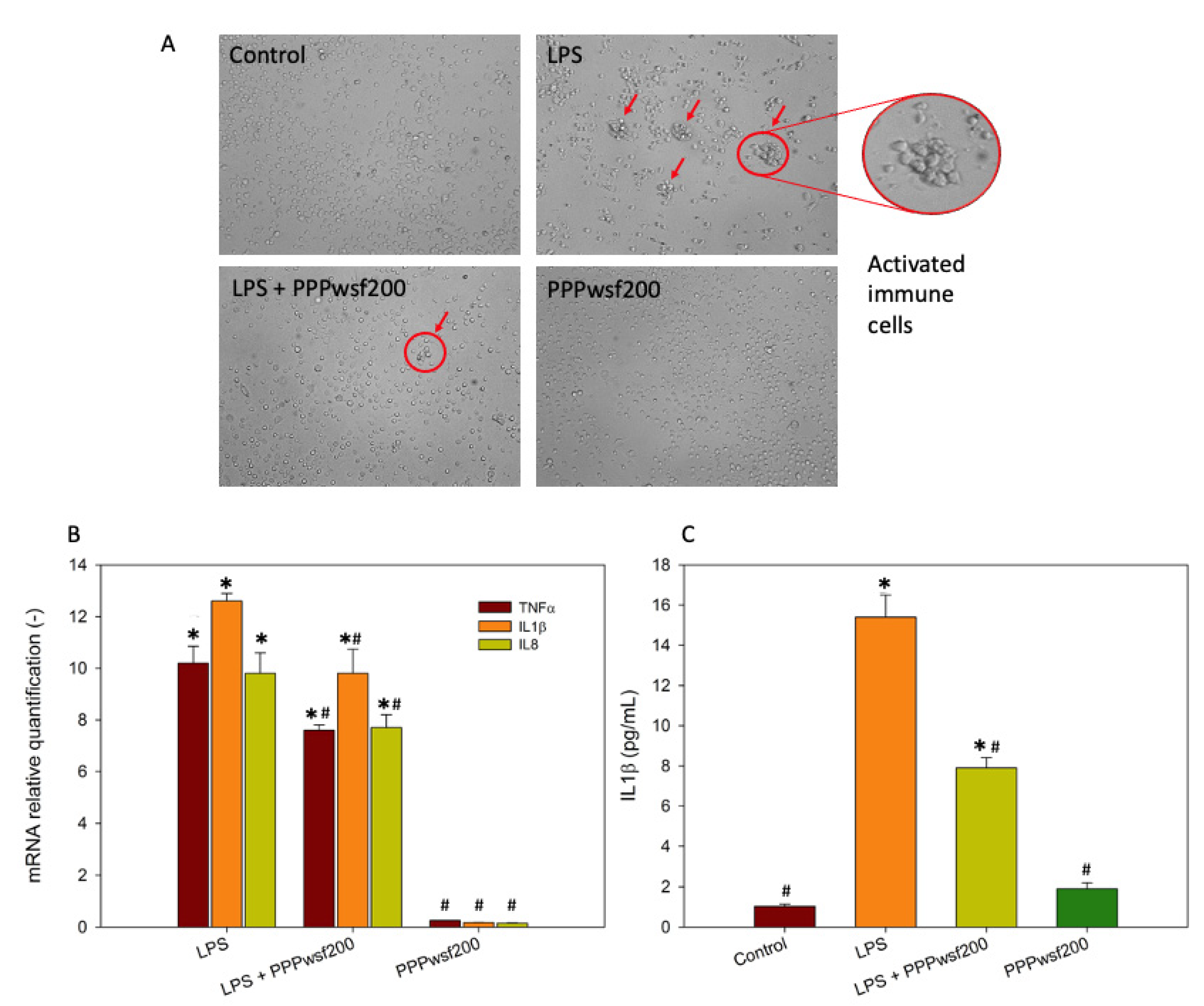 Biology 11 00416 g004