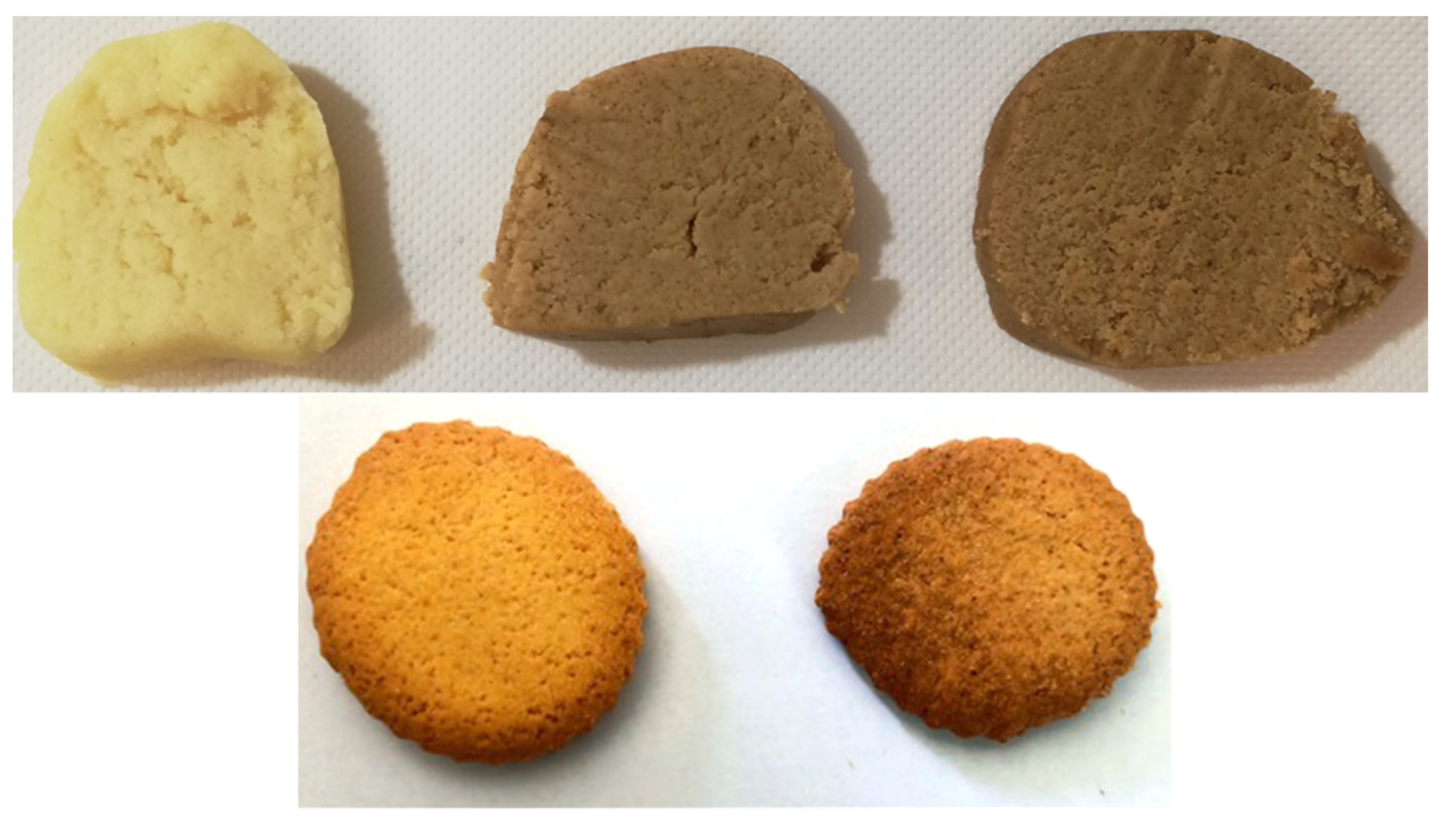 Biology 11 00416 g005