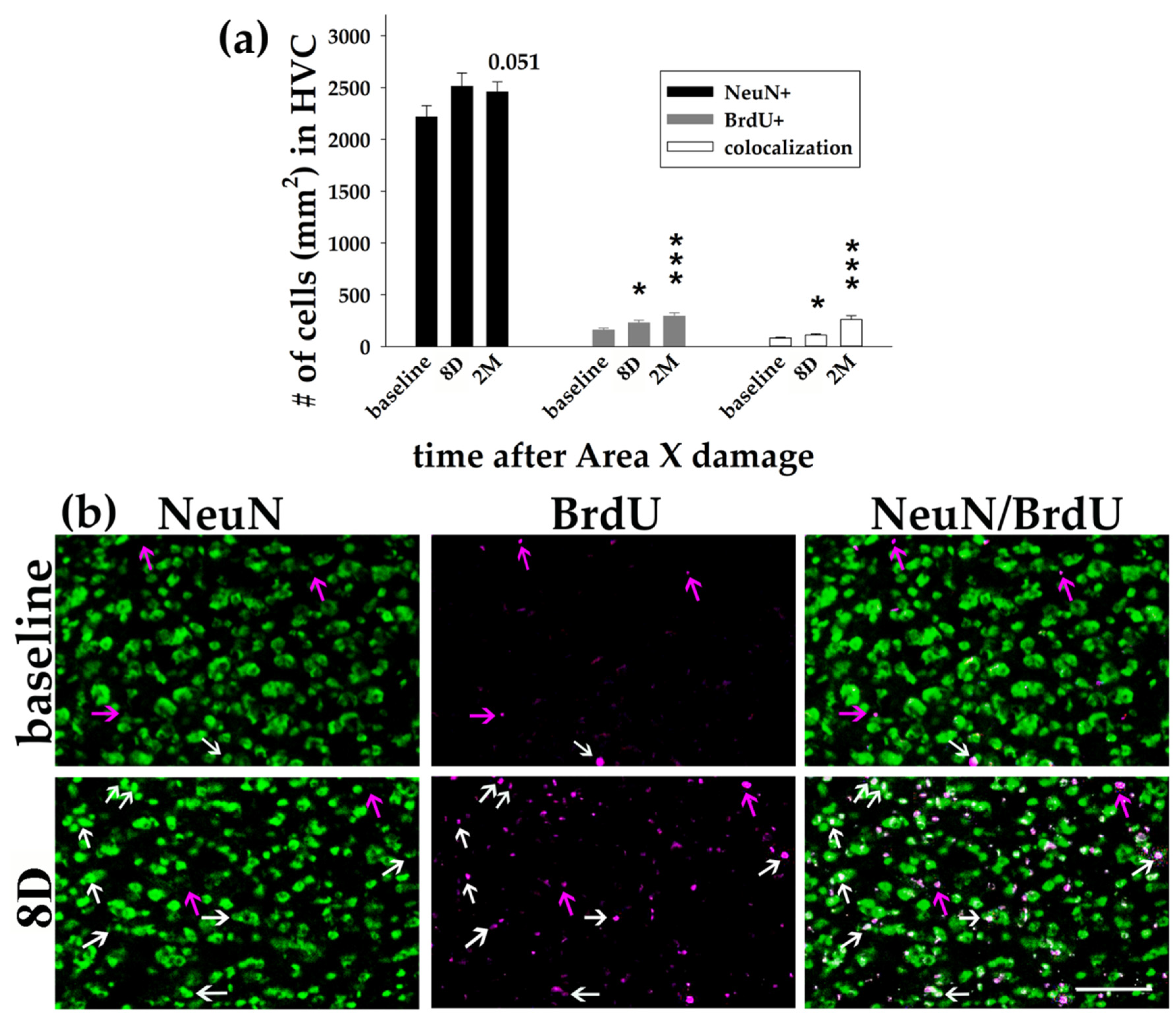 Biology 11 00425 g004