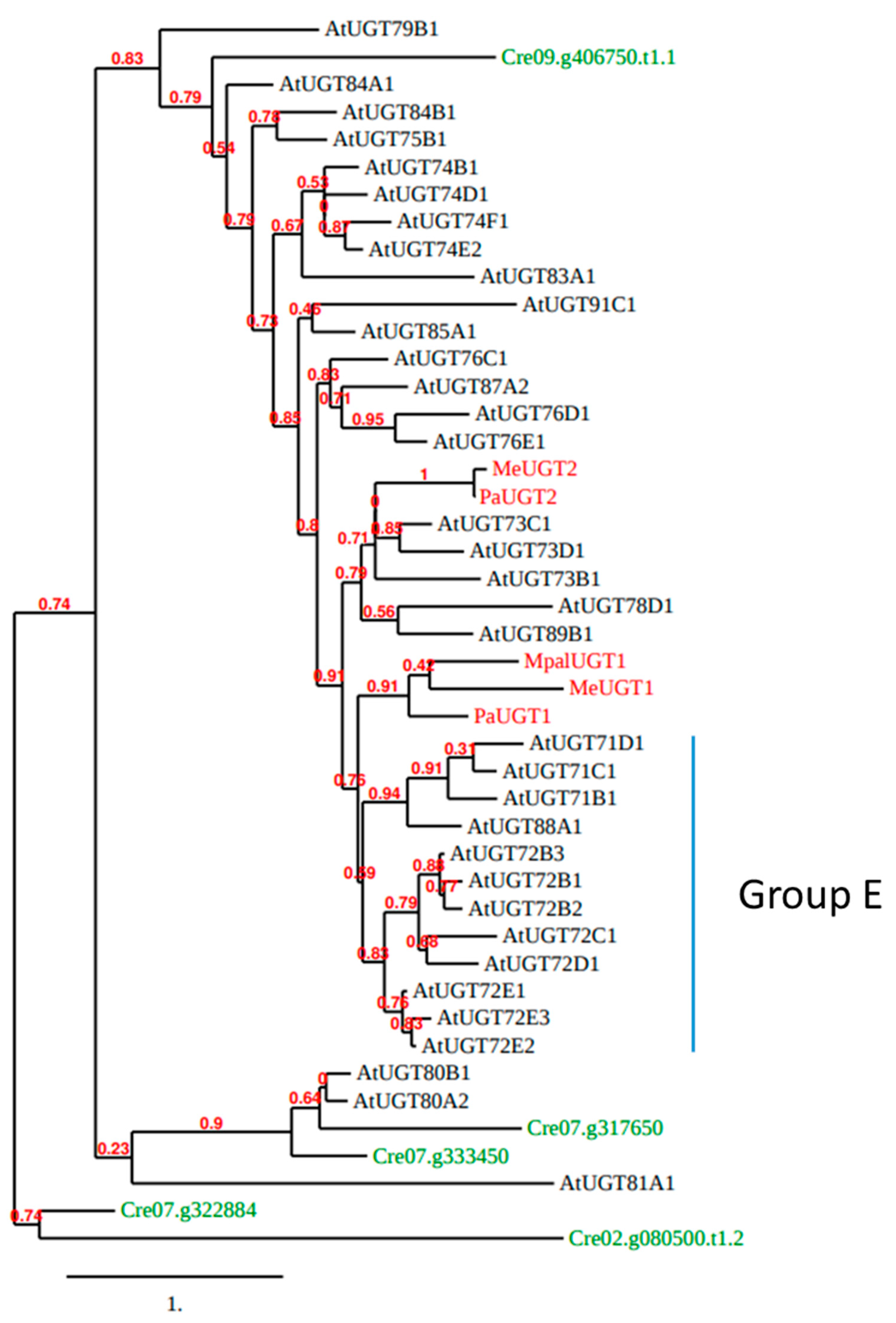 Biology 11 00441 g004