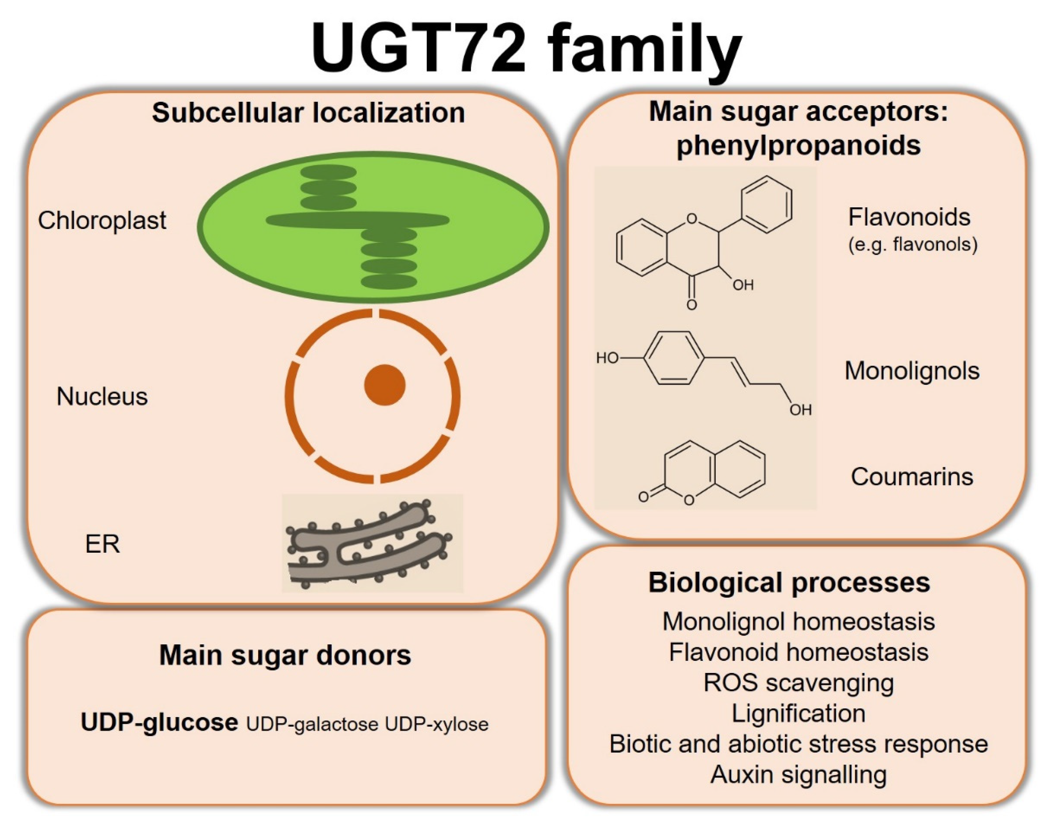 Biology 11 00441 g005
