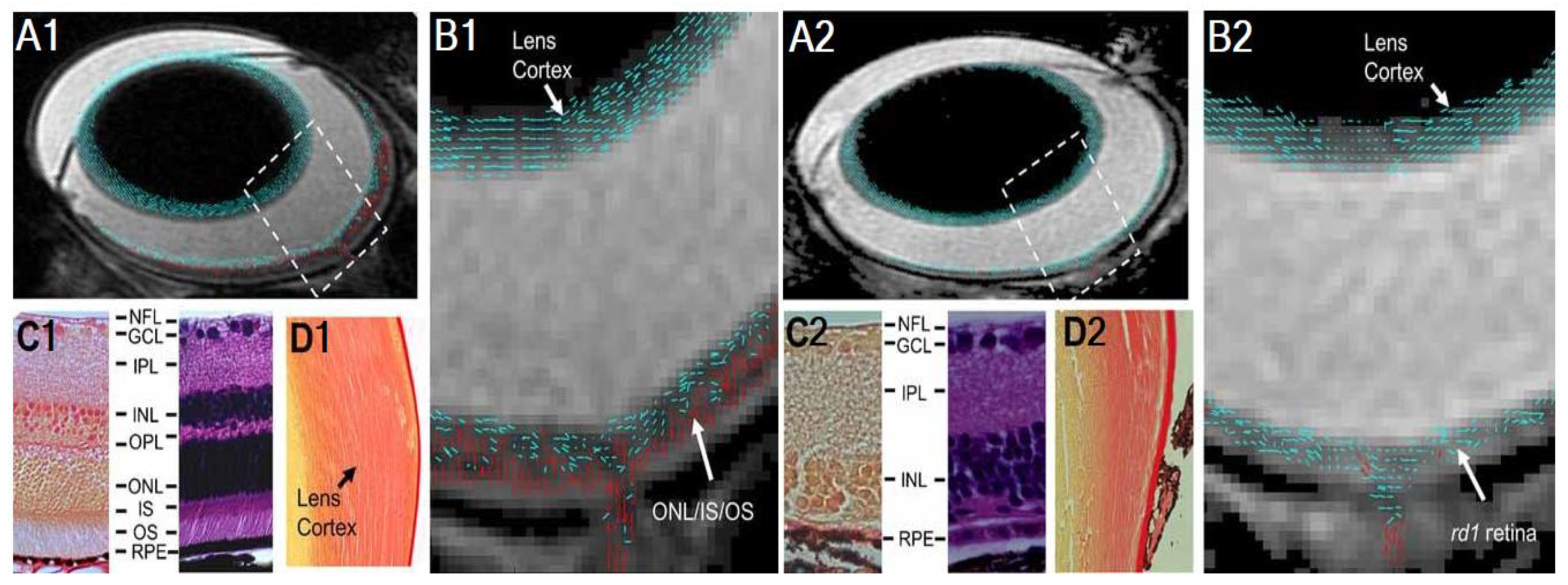 Biology 11 00454 g003