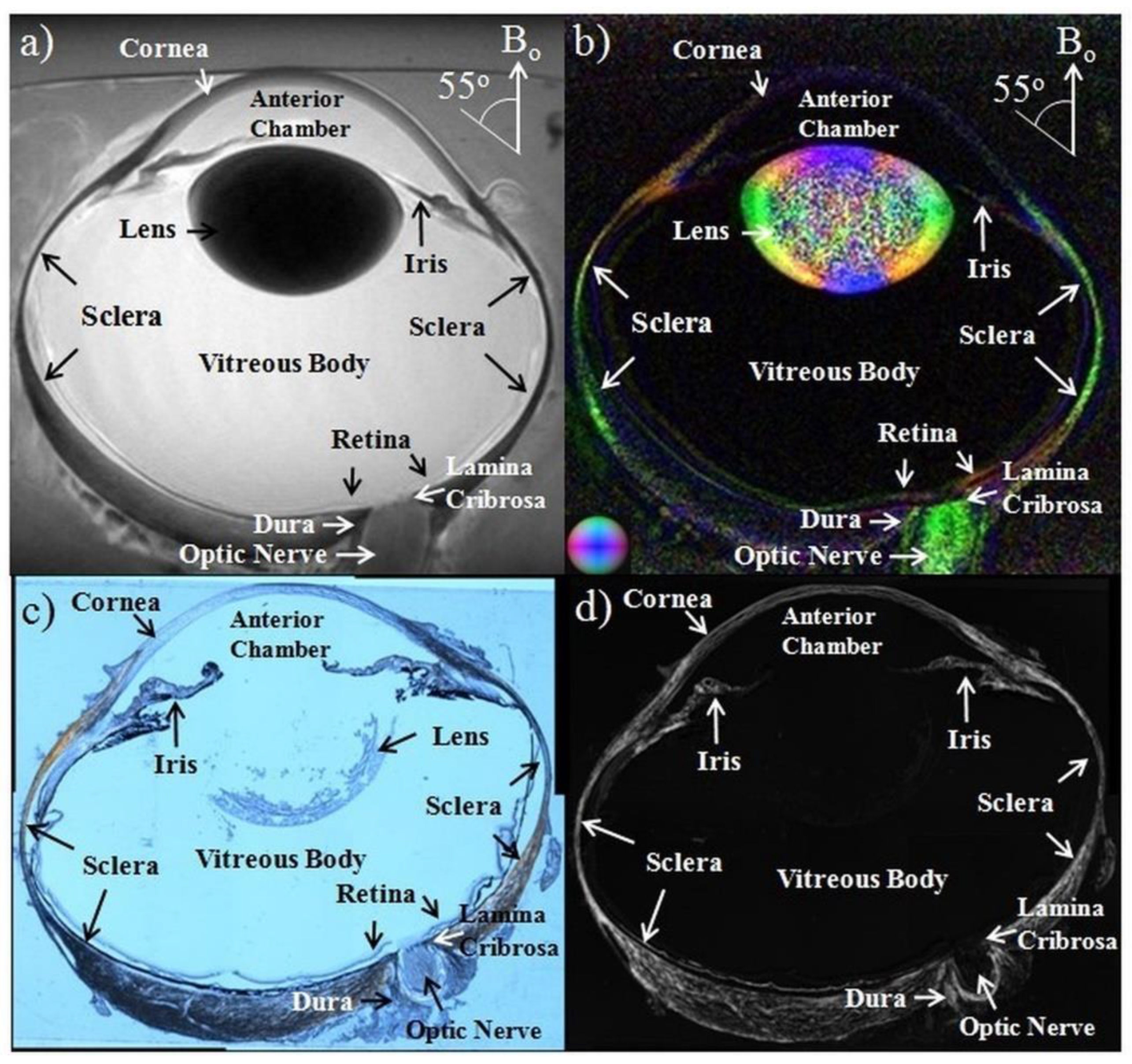 Biology 11 00454 g004