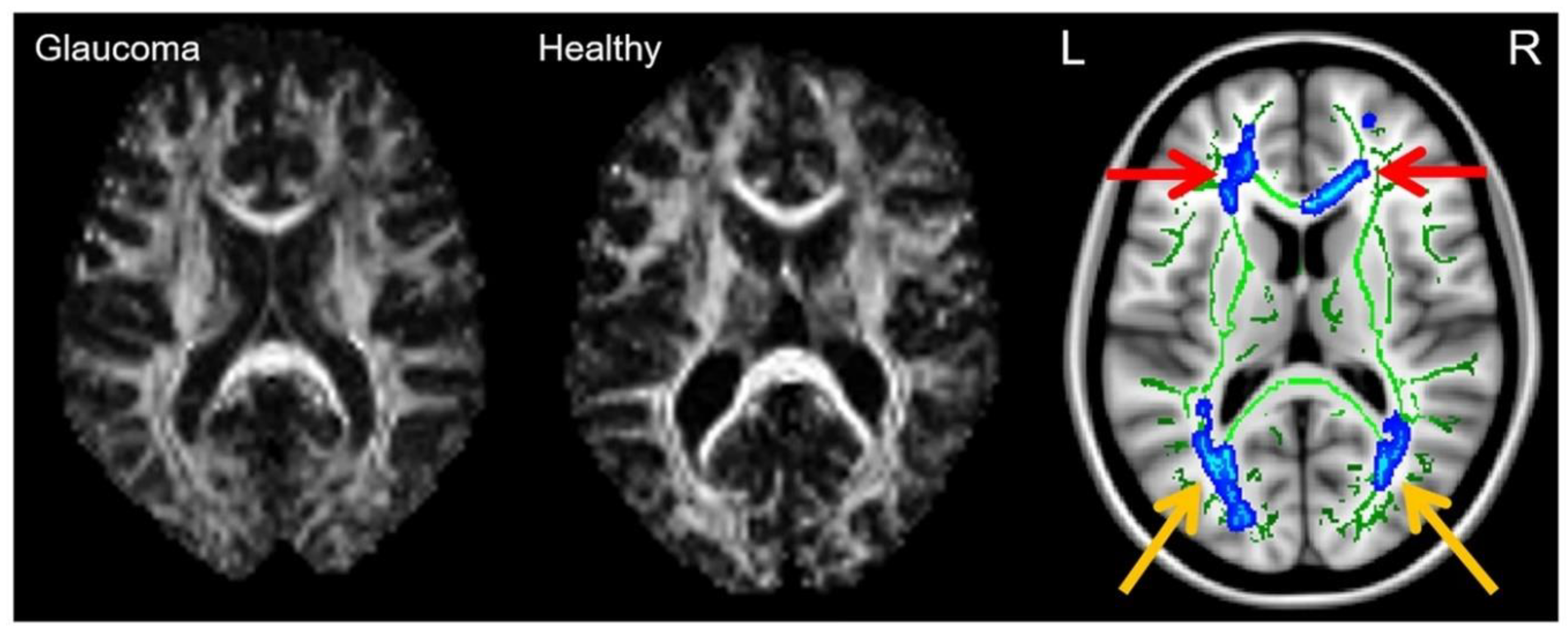 Biology 11 00454 g007