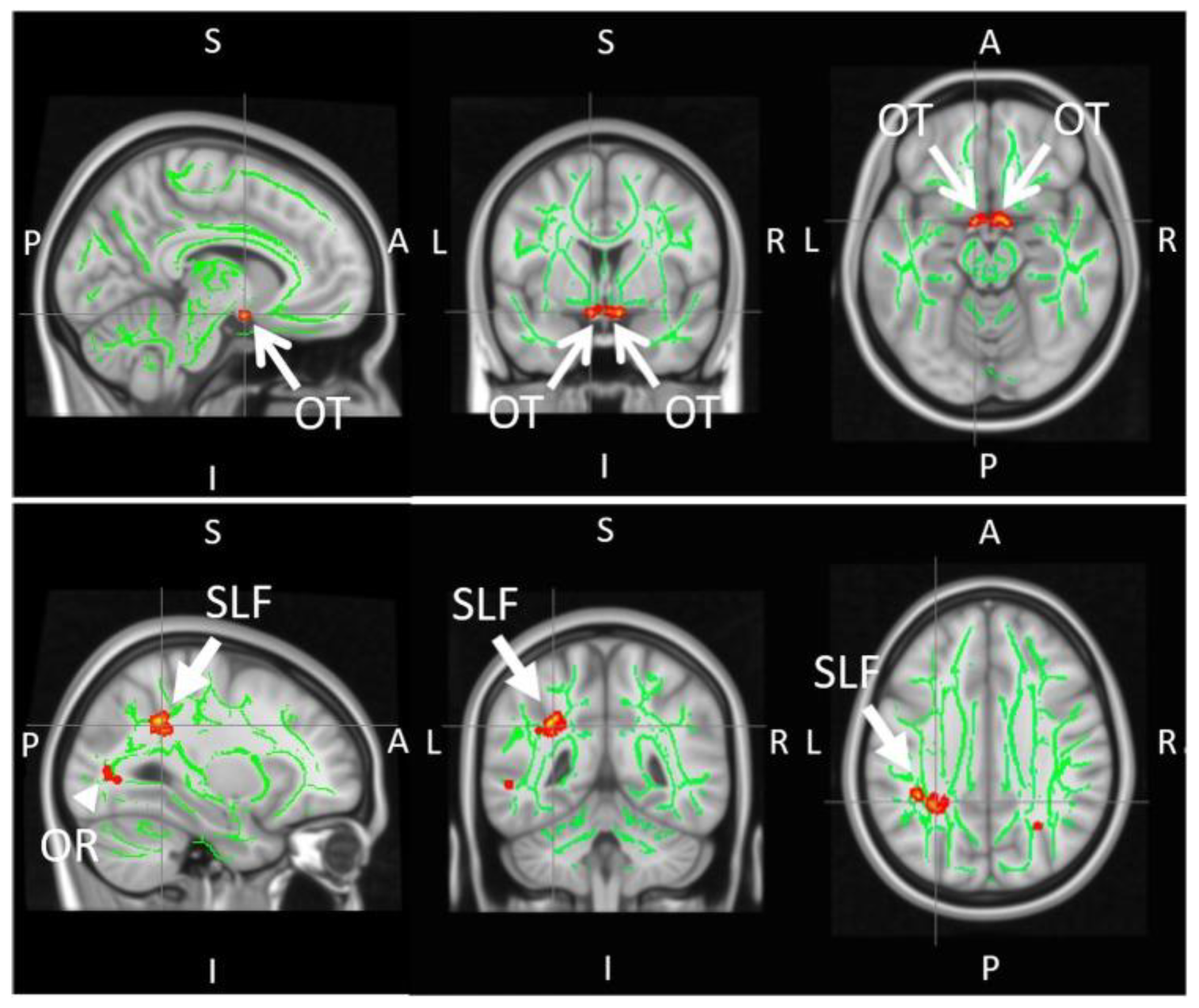 Biology 11 00454 g009