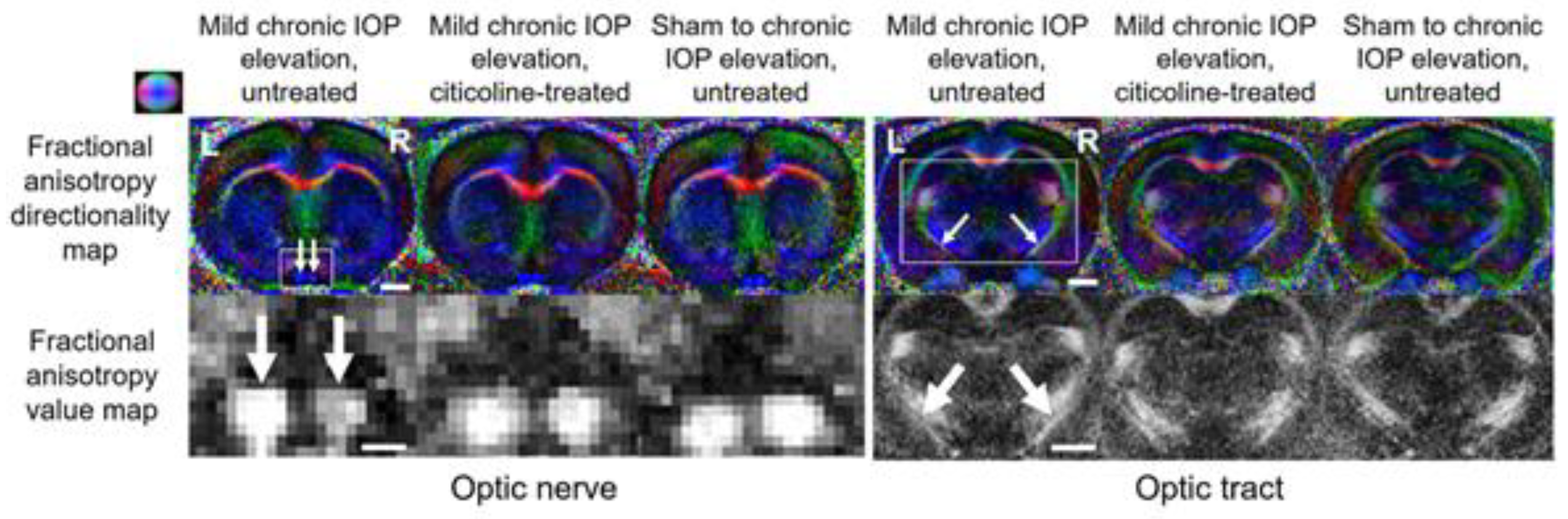 Biology 11 00454 g010