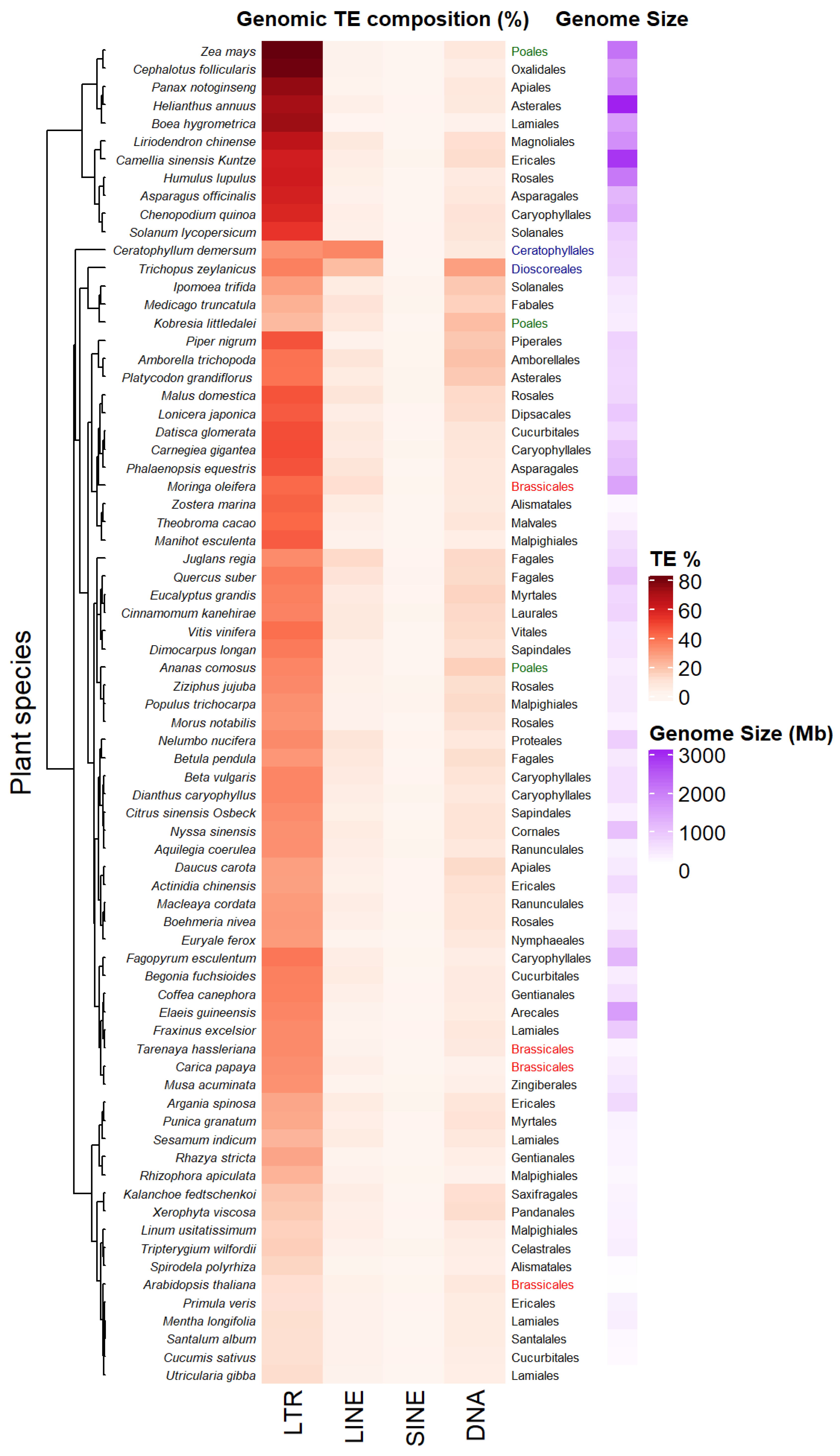 Biology 11 00488 g002