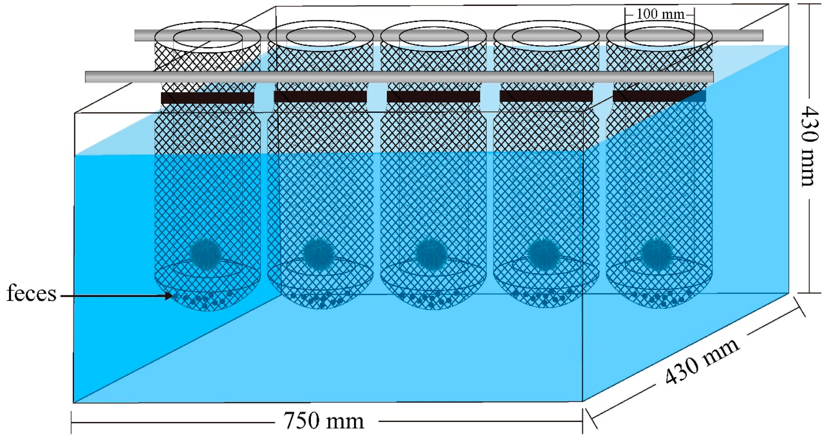 Biology 11 00503 g001 Biology 11 00503 g001