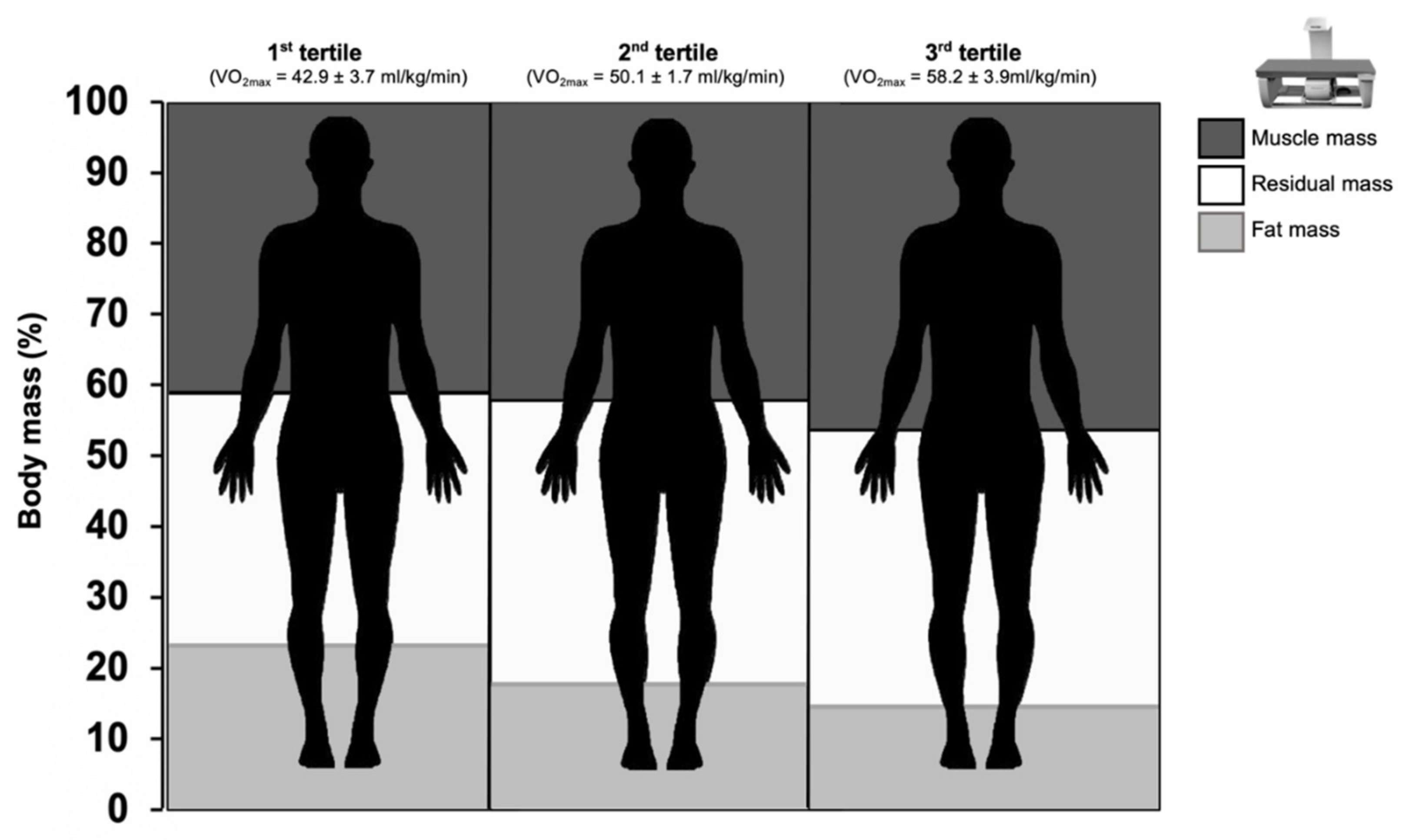 https://www.mdpi.com/biology/biology-11-00505/article_deploy/html/images/biology-11-00505-g002.png