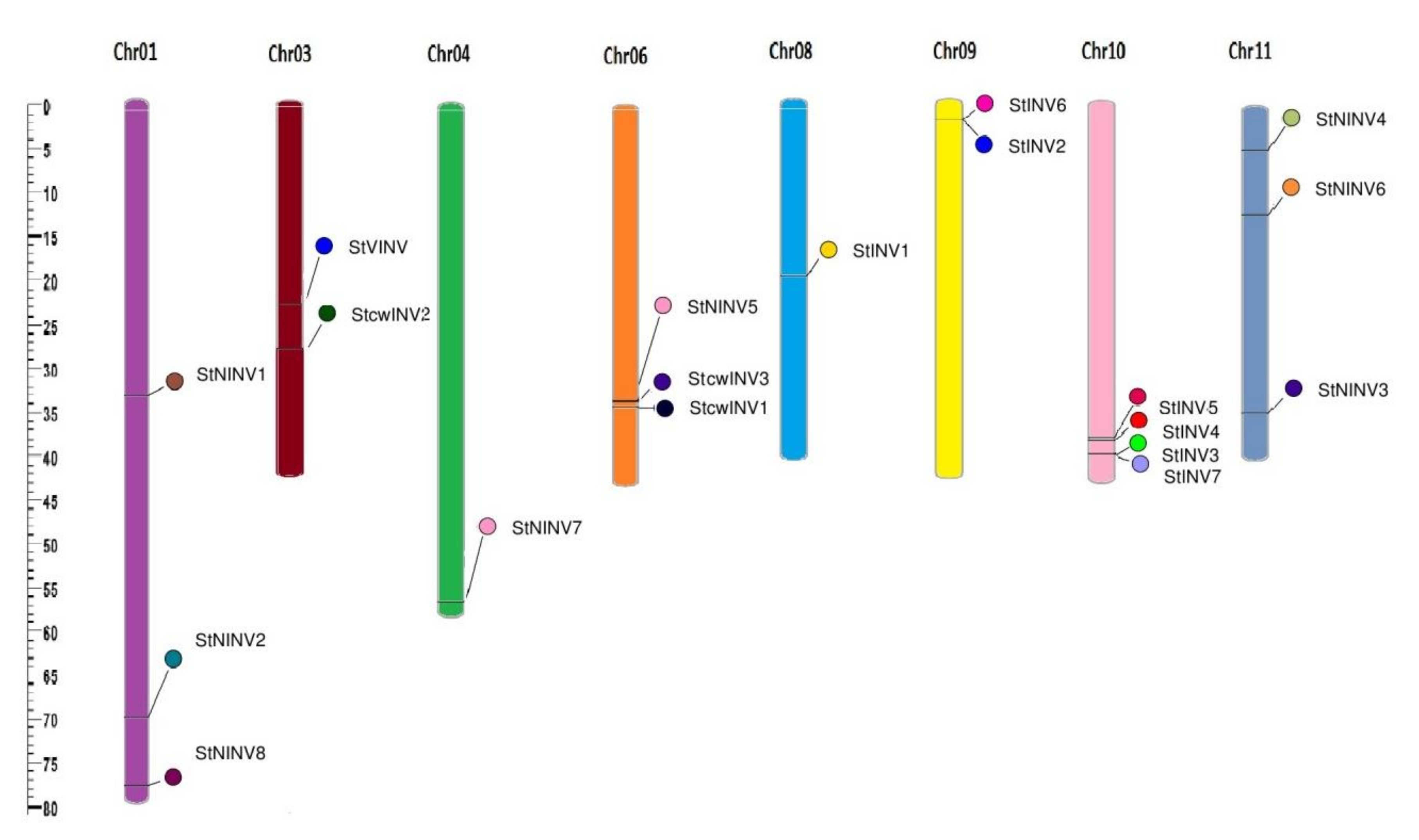 Biology 11 00539 g002