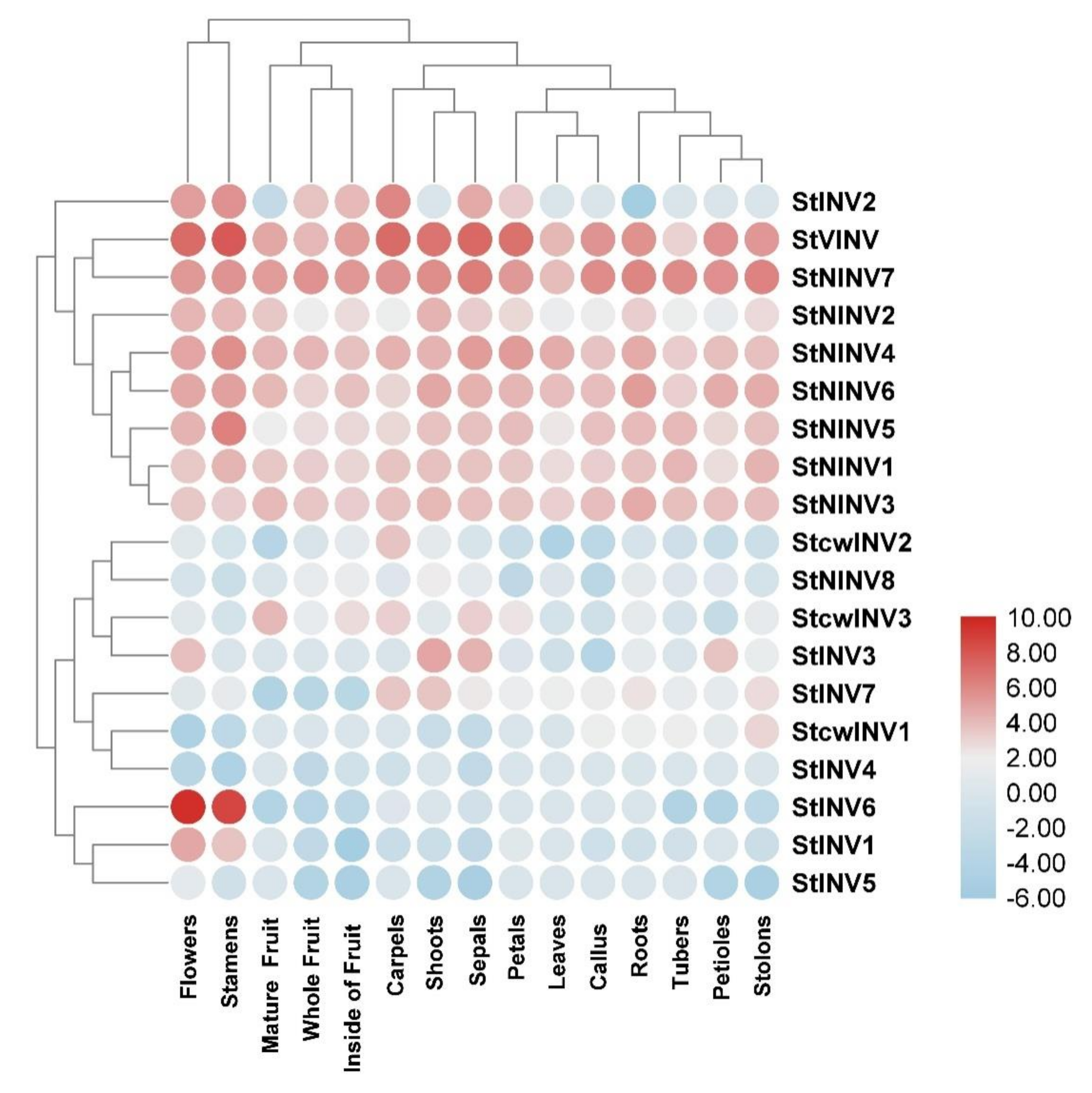 Biology 11 00539 g007