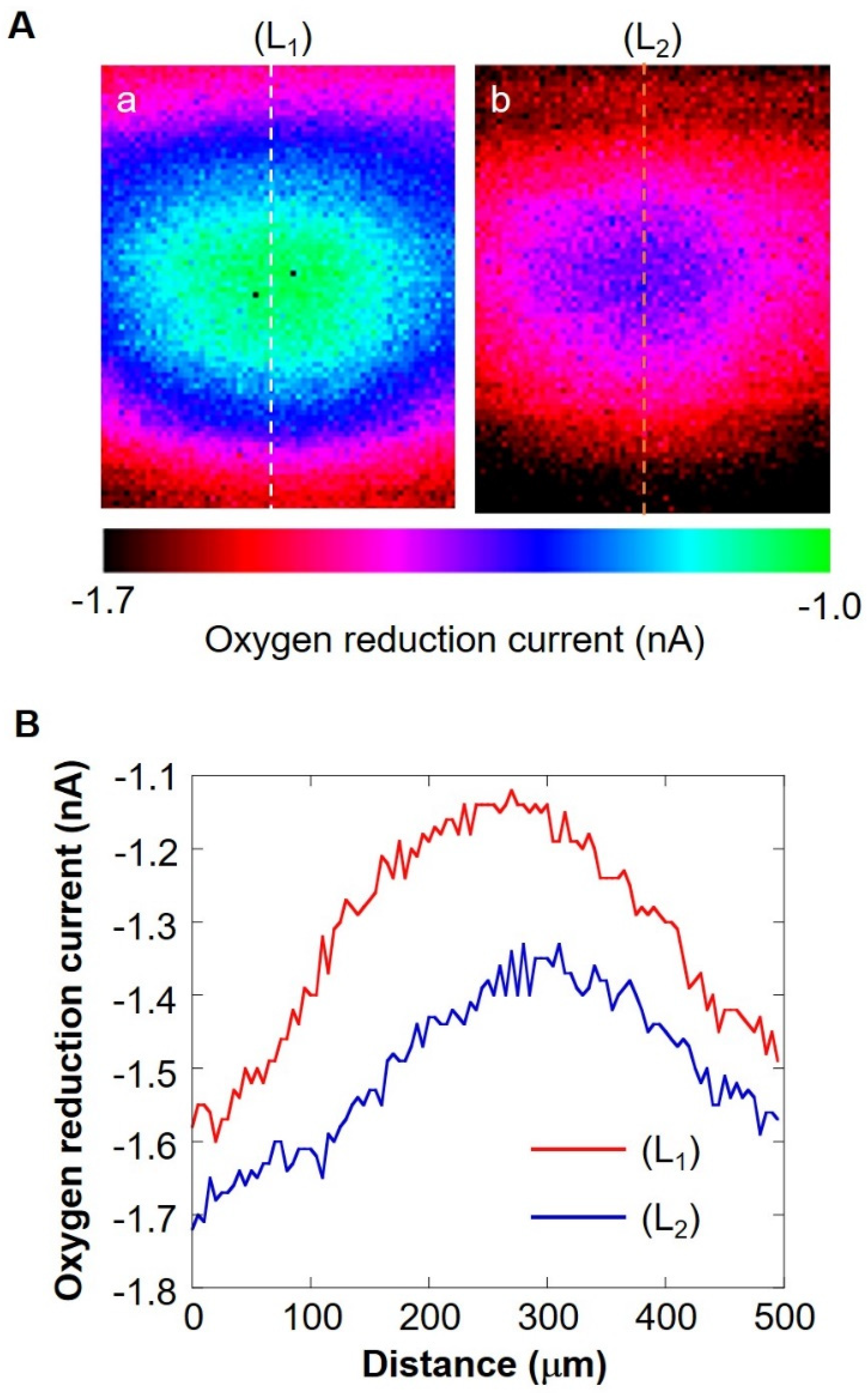 Biology 11 00549 g006