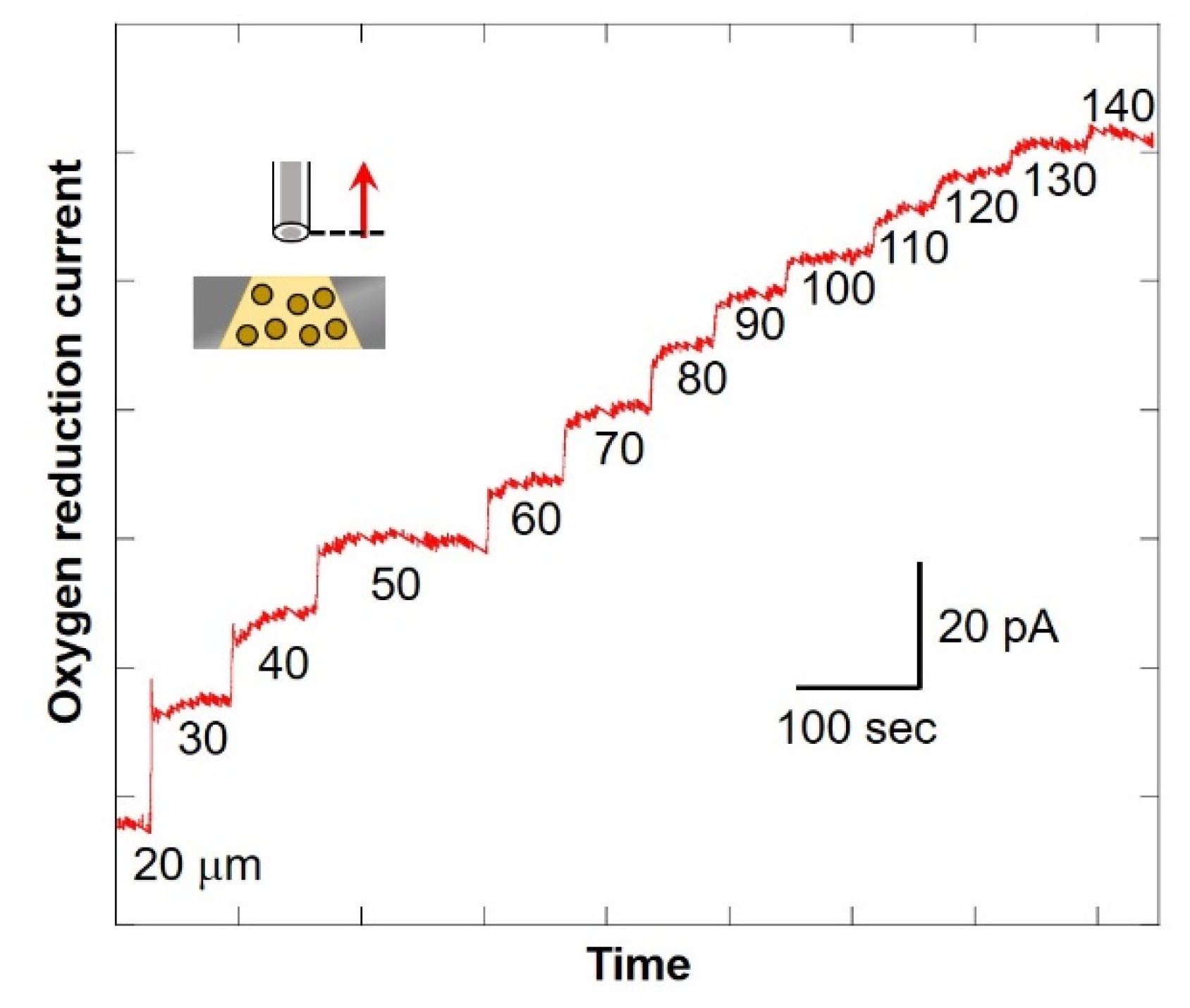 Biology 11 00549 g008
