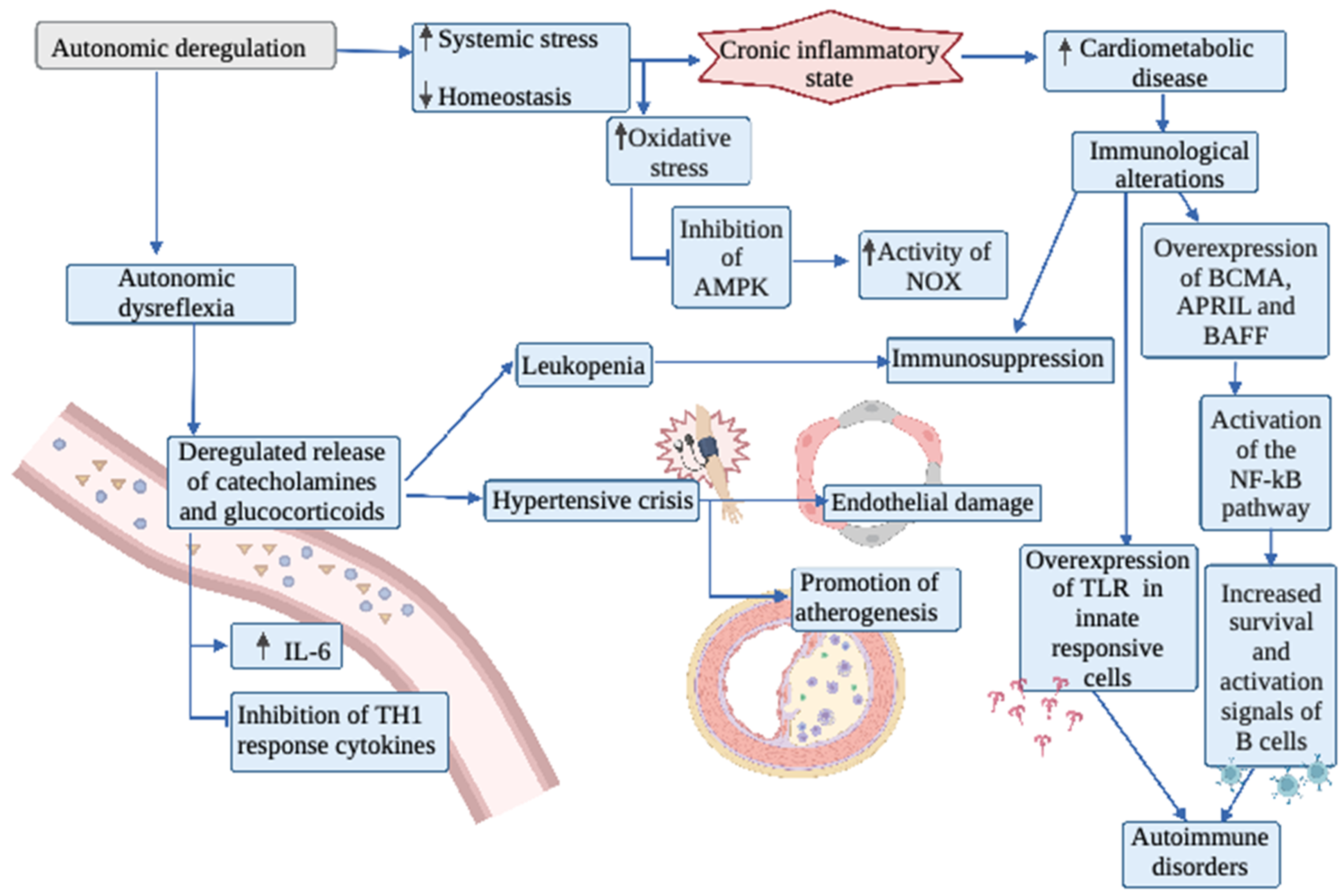 Biology 11 00550 g002