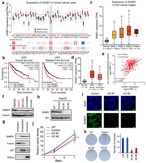 Biology | Free Full-Text | The CpG Island-Binding Protein SAMD1 ...