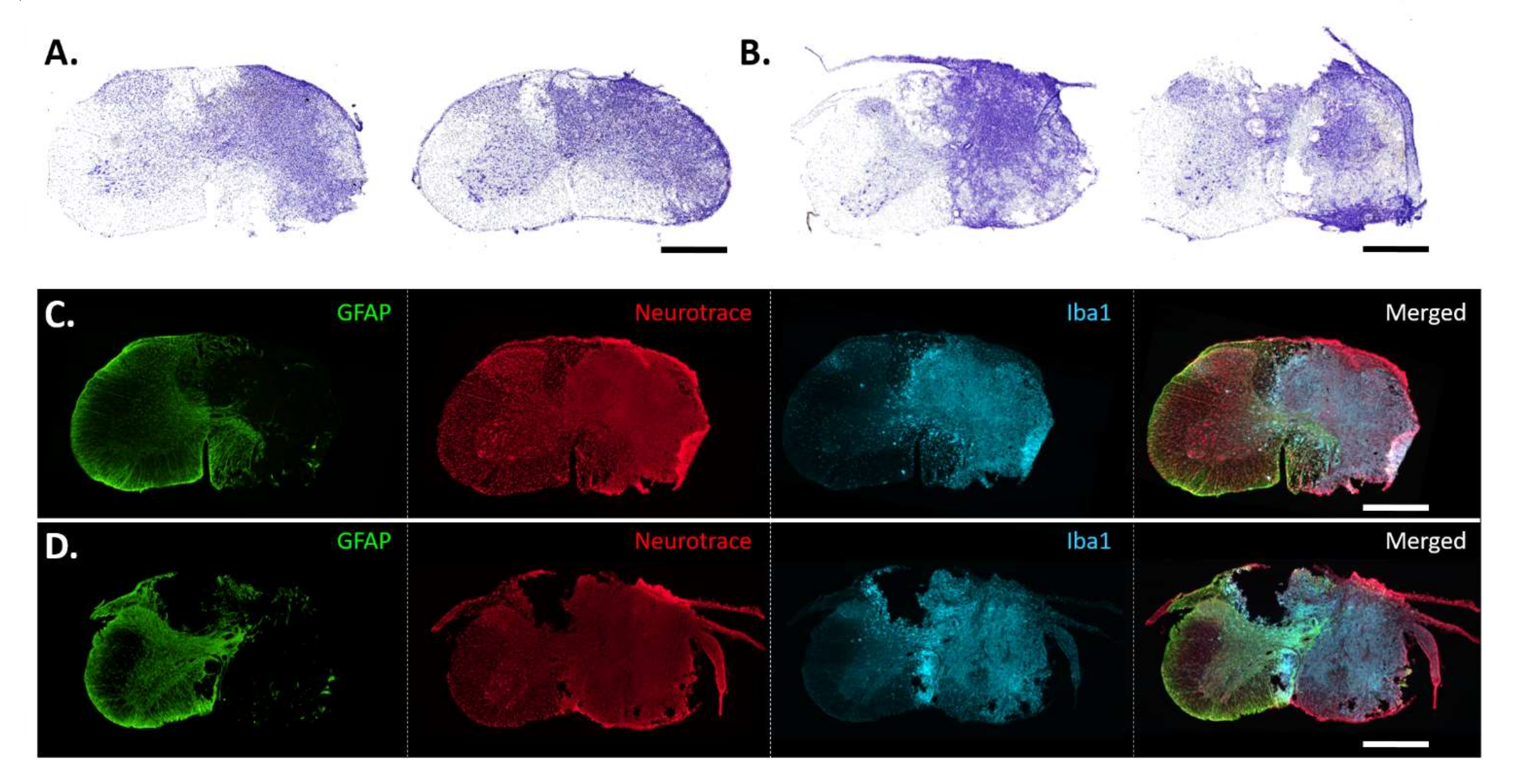 Biology 11 00558 g001