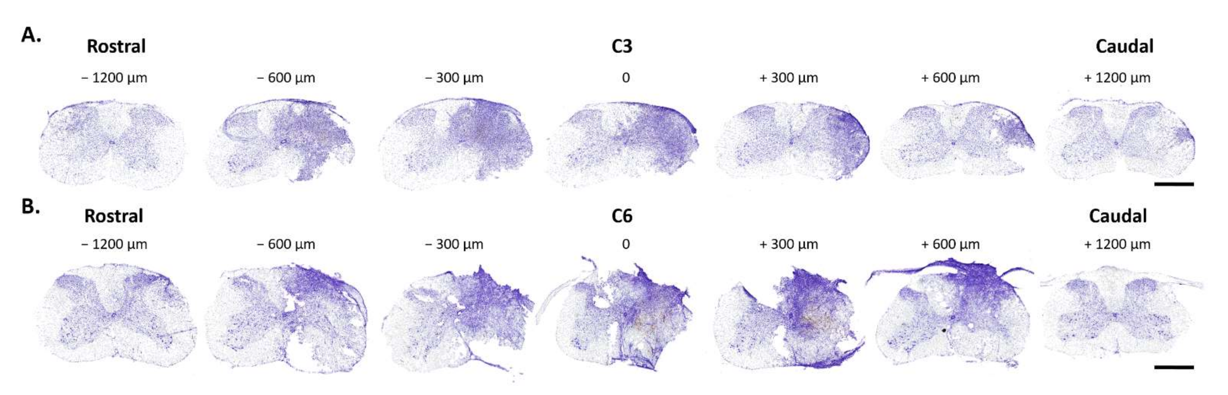 Biology 11 00558 g002