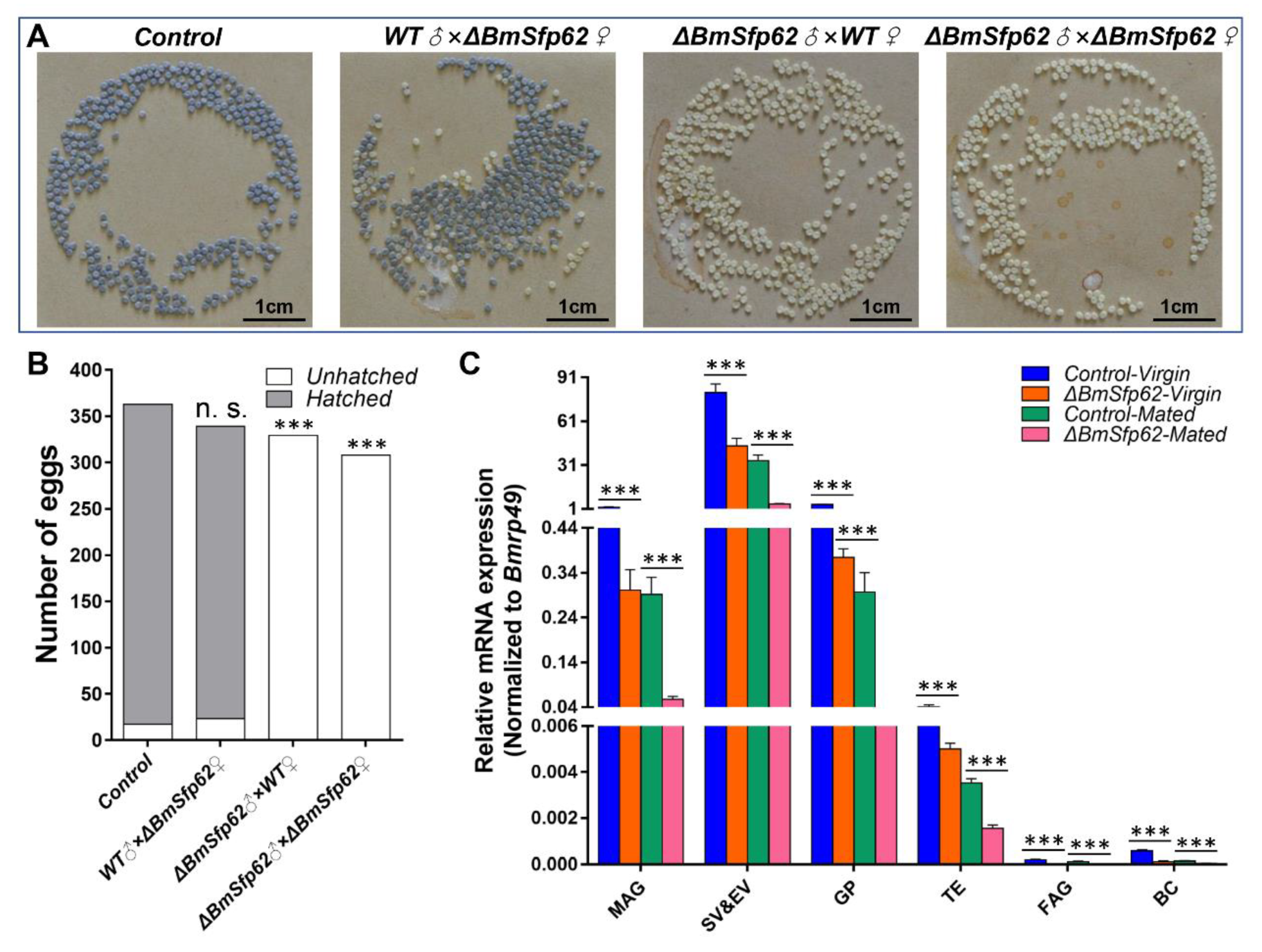 Biology 11 00561 g004