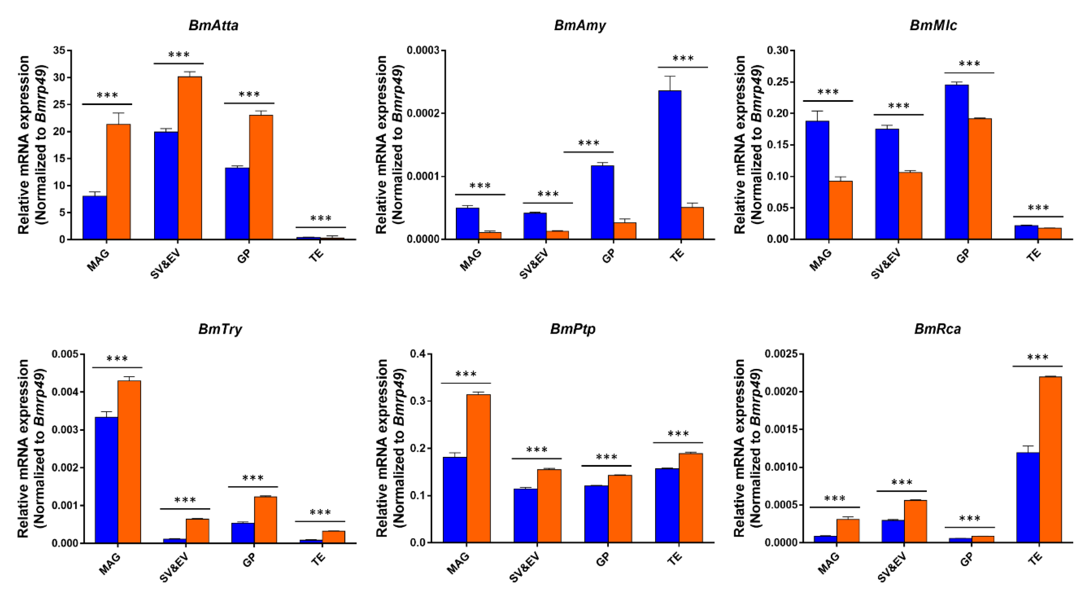 Biology 11 00561 g005