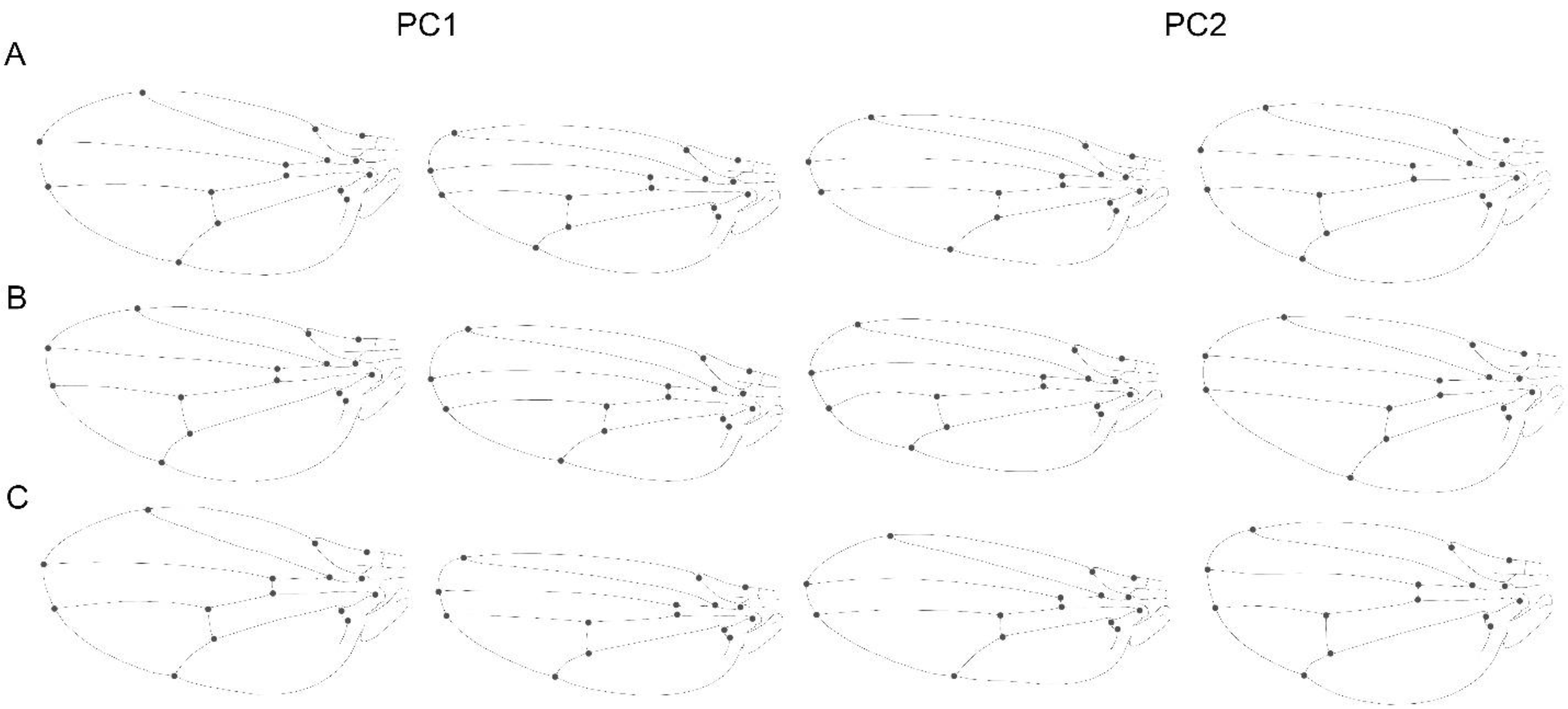 Biology 11 00567 g005