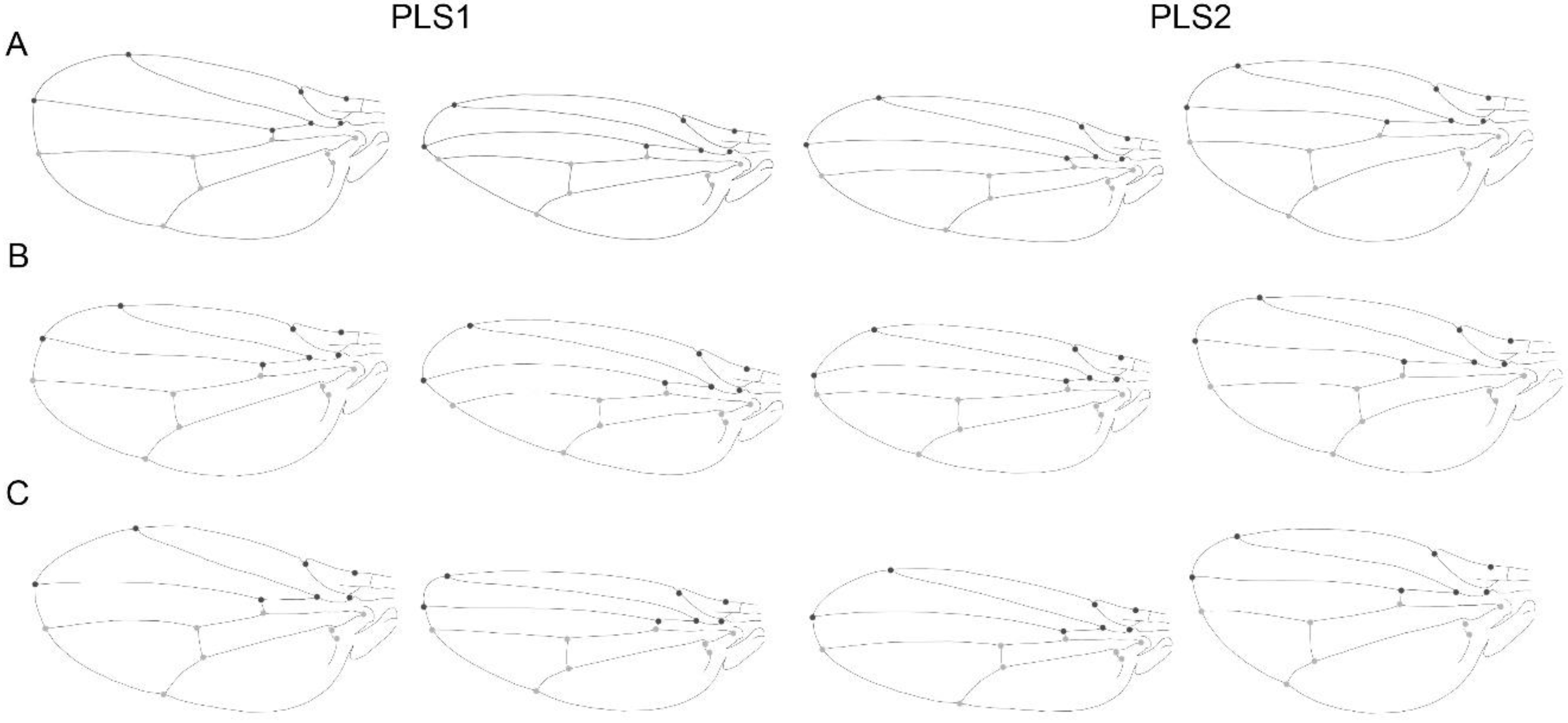 Biology 11 00567 g006