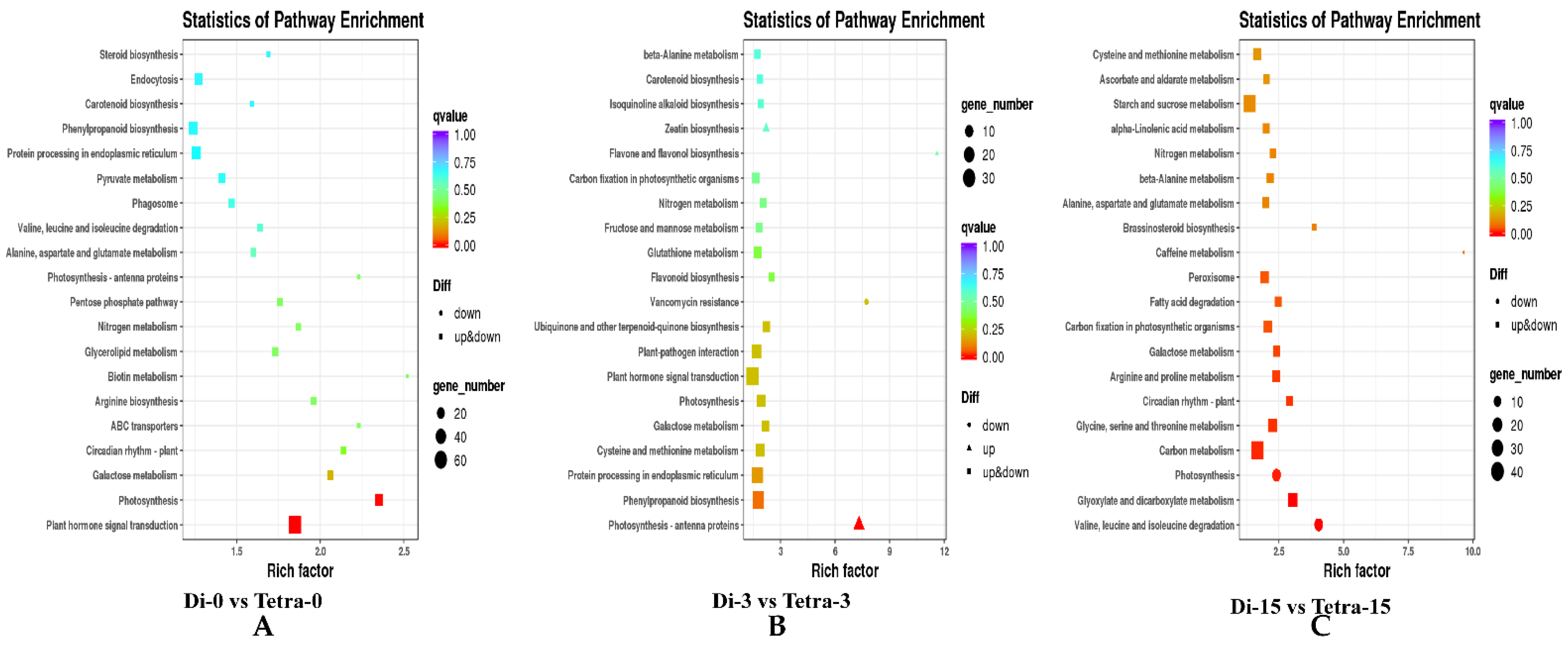 Biology 11 00575 g007