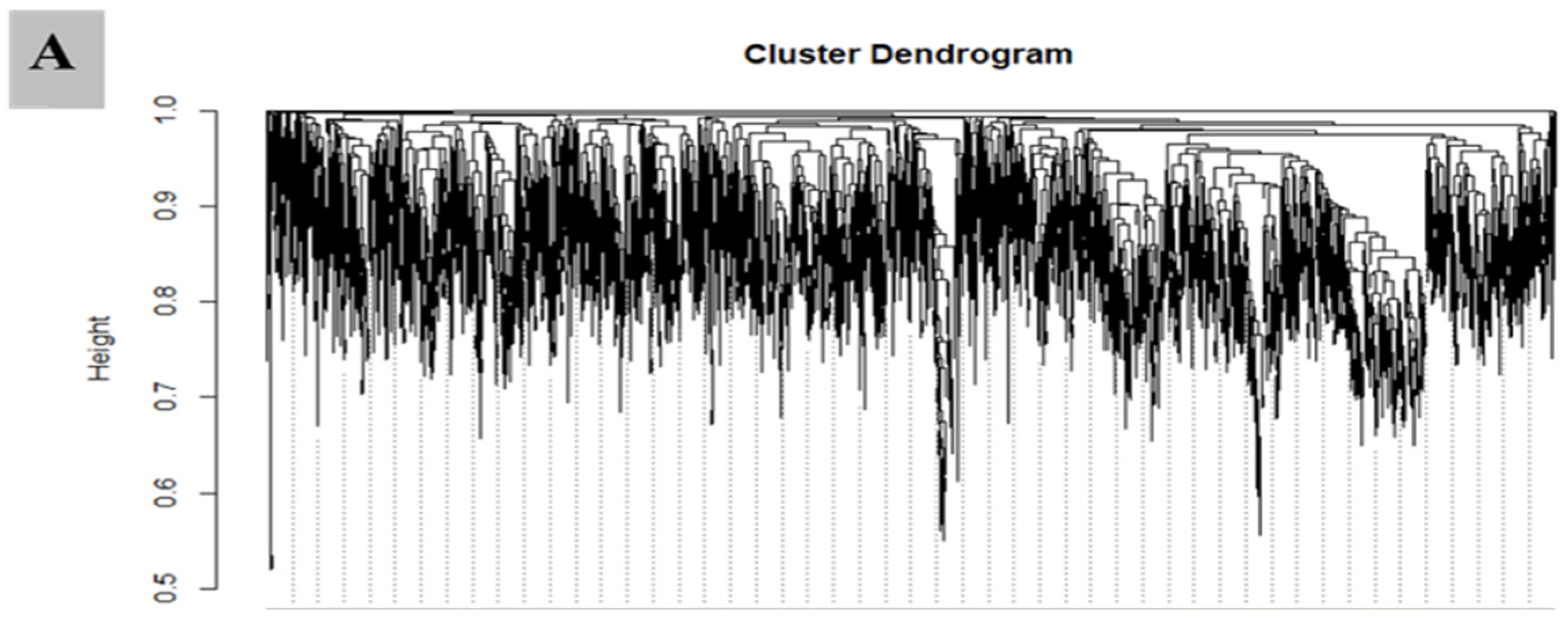 Biology 11 00575 g008a