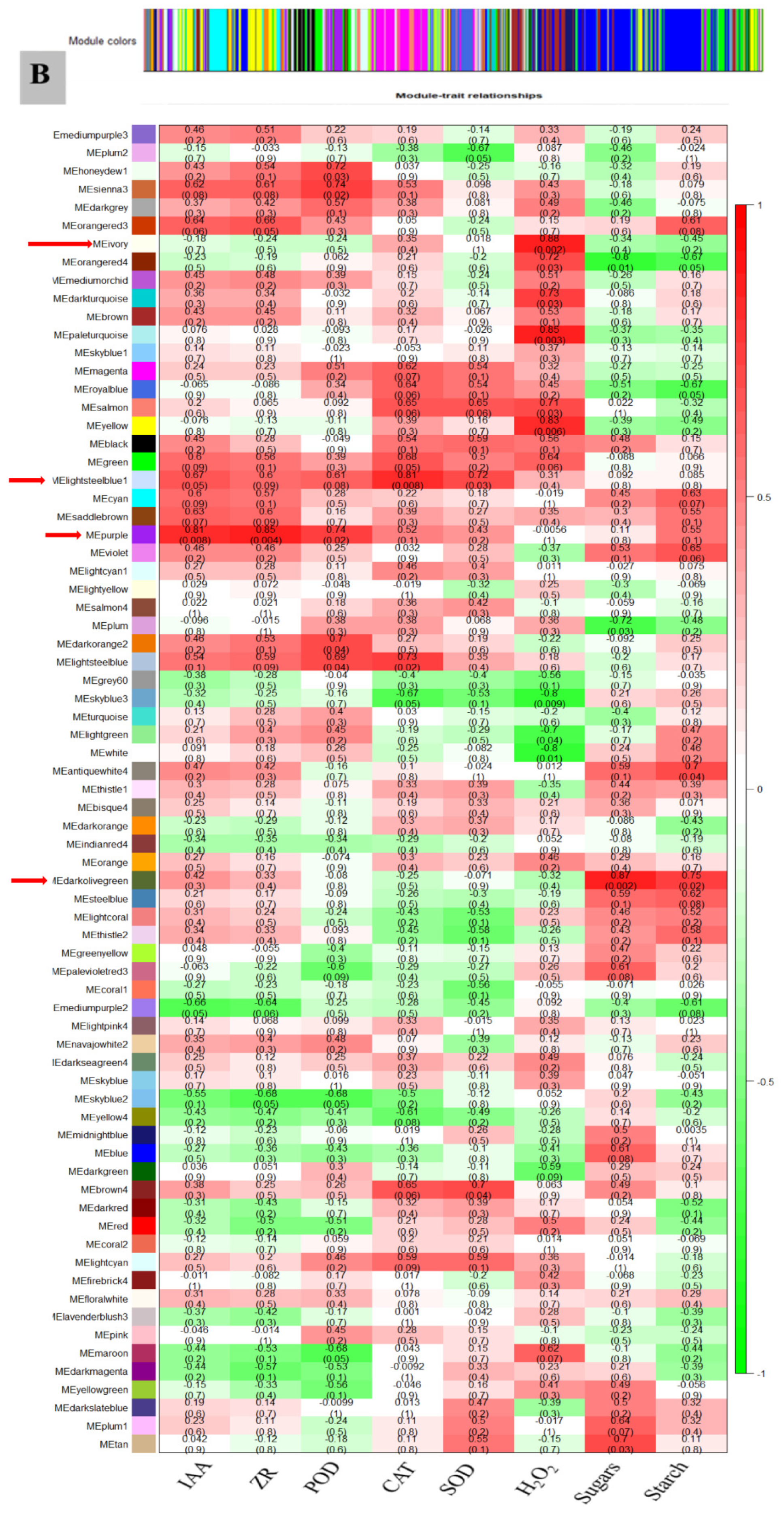 Biology 11 00575 g008b