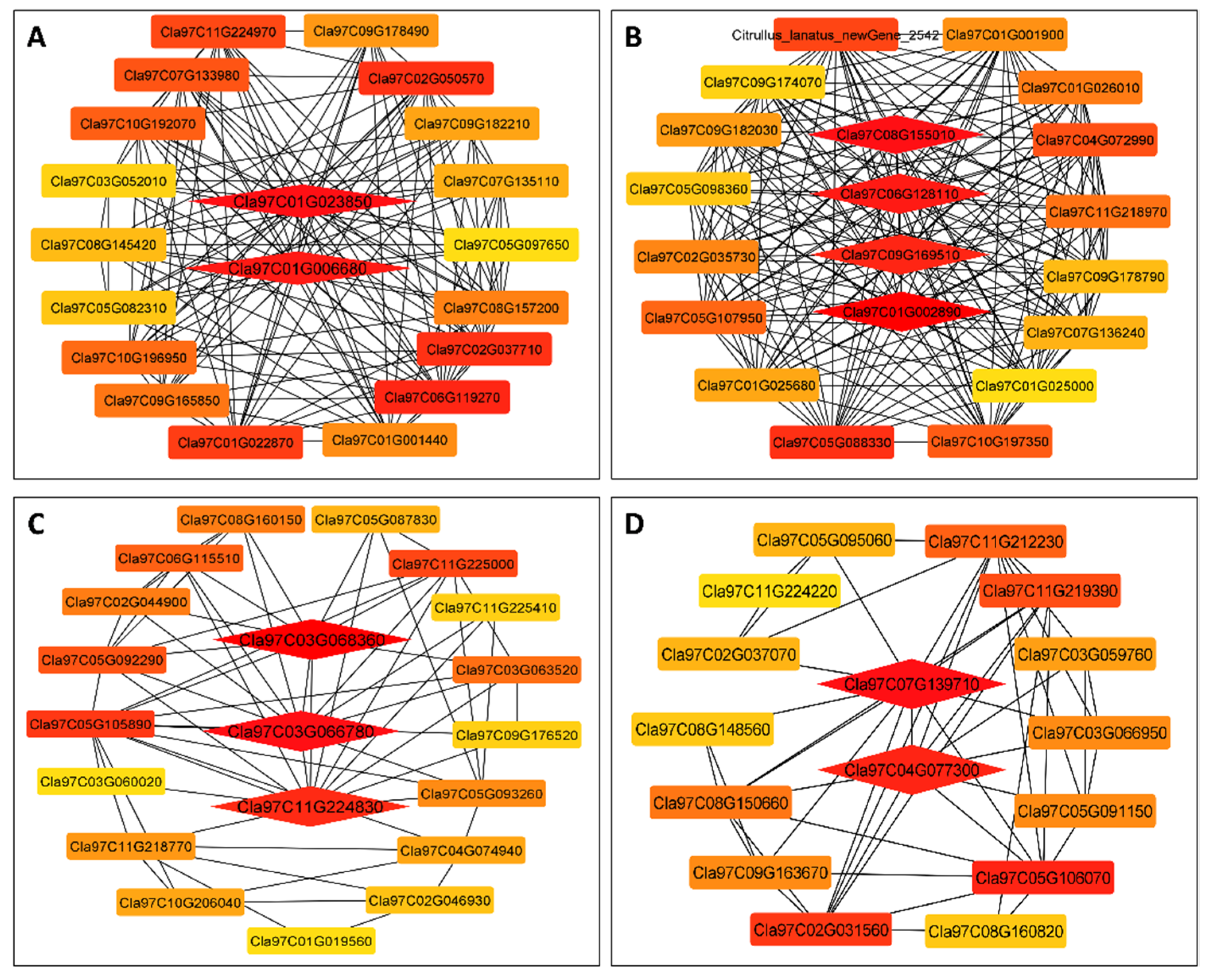 Biology 11 00575 g009
