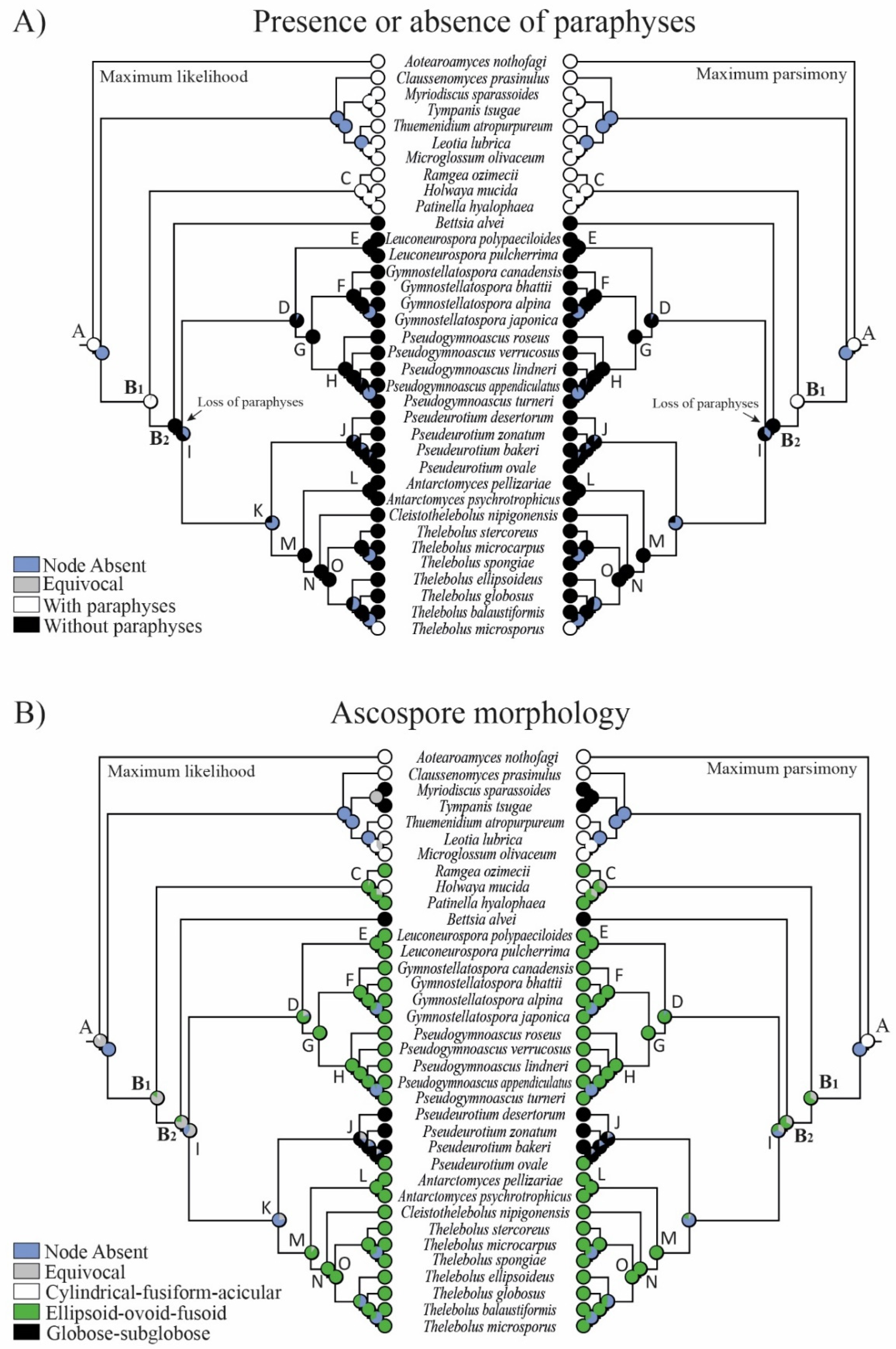 Biology 11 00583 g003 Biology 11 00583 g003