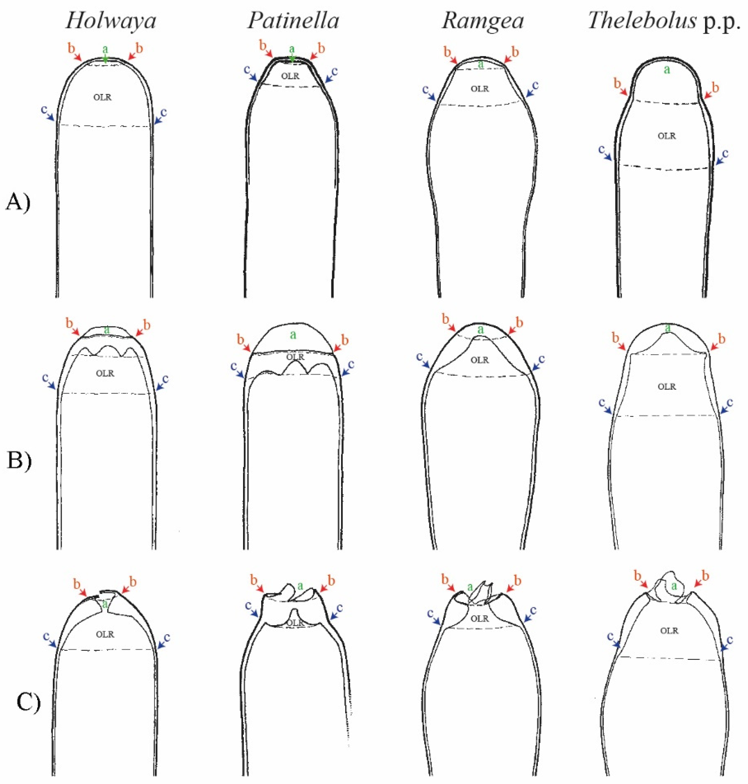 Biology 11 00583 g008 Biology 11 00583 g008
