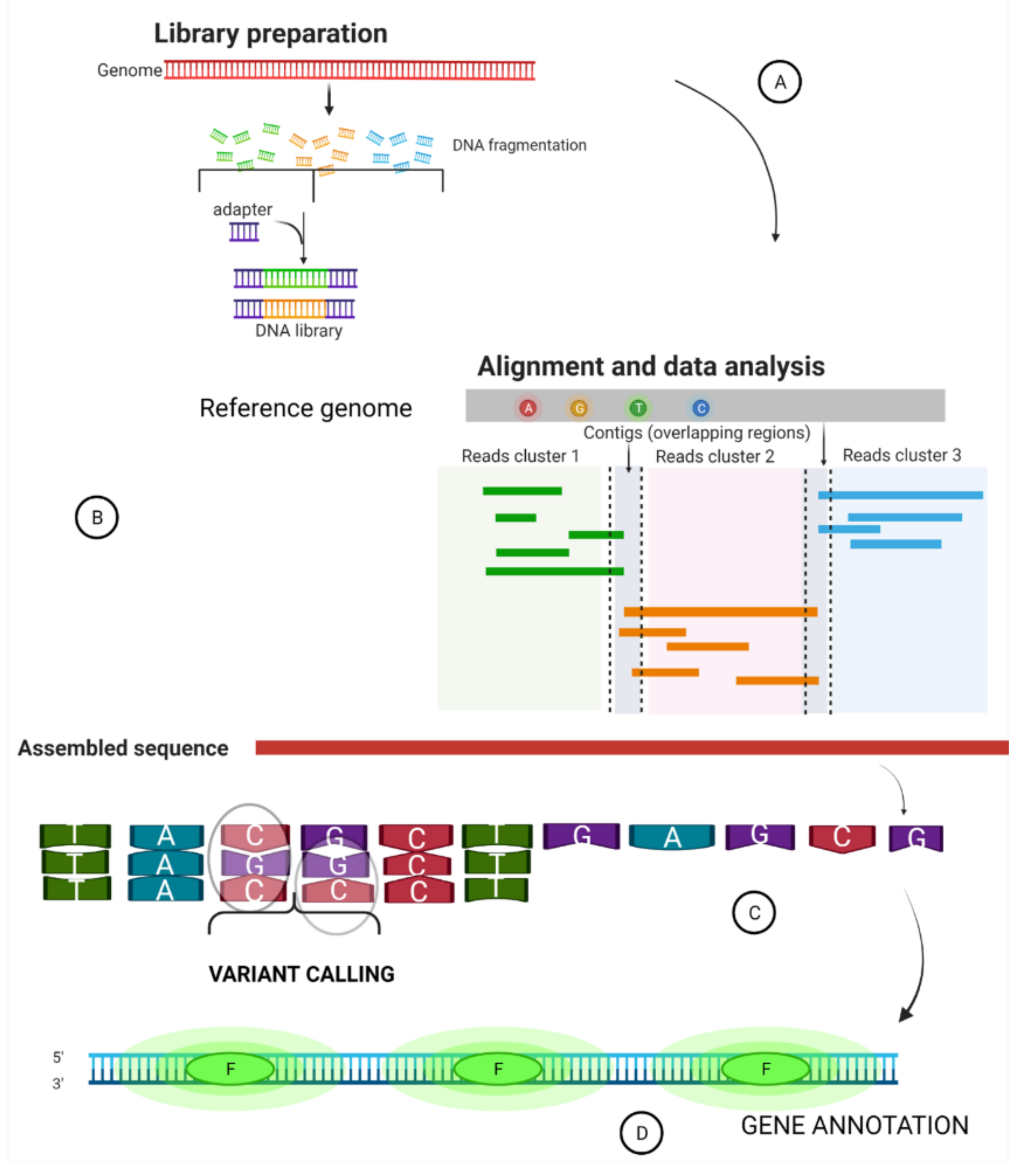 Biology | Free Full-Text | Whole Genome Sequencing Contributions and  Challenges in Disease Reduction Focused on Malaria | HTML