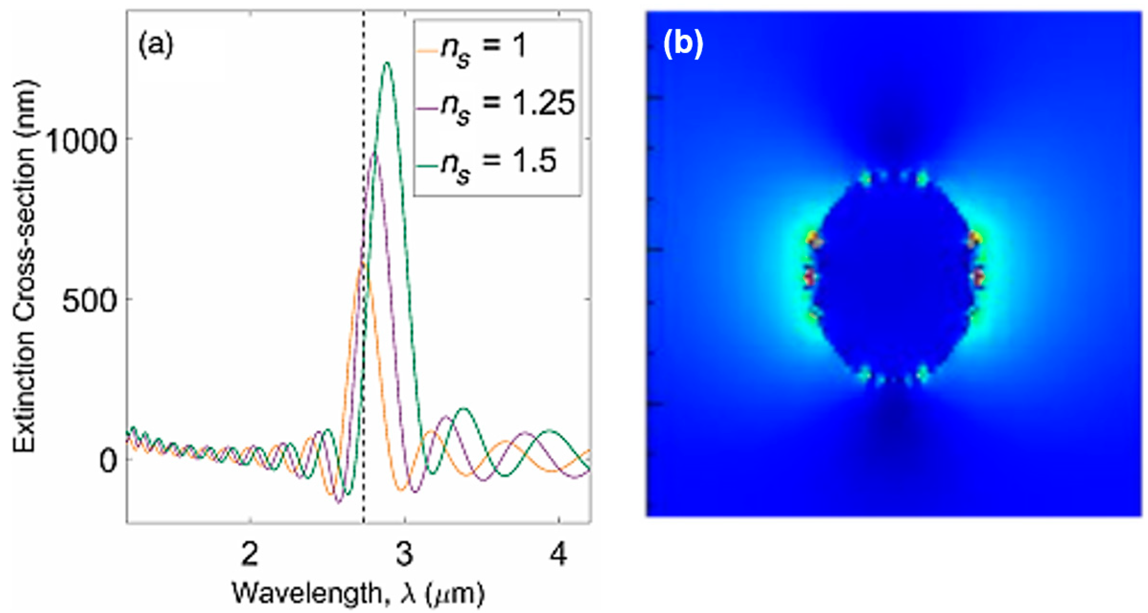 Biology 11 00621 g008 Biology 11 00621 g008