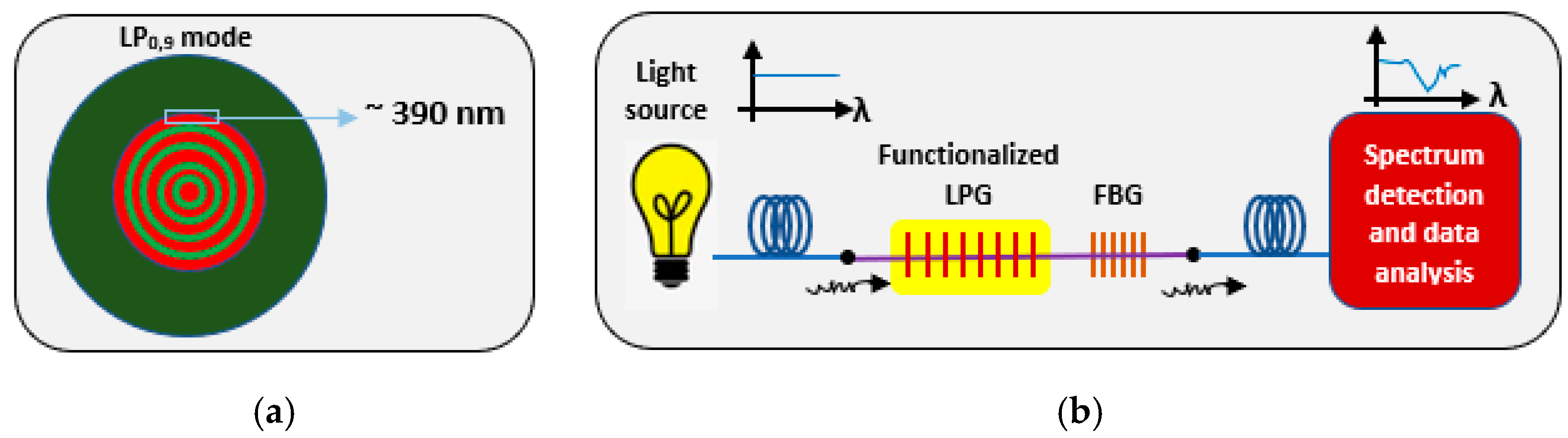 Biology 11 00621 g009 Biology 11 00621 g009