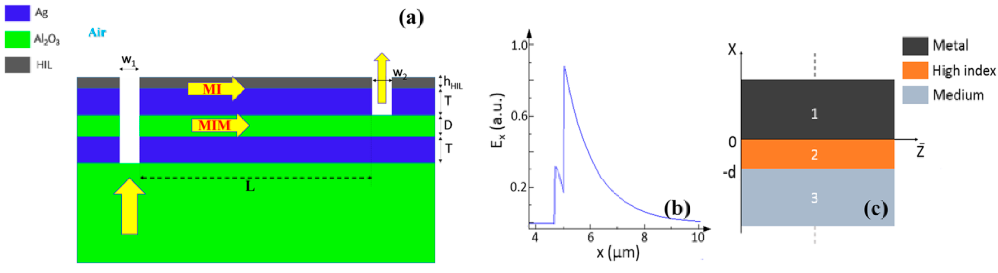 Biology 11 00621 g011 Biology 11 00621 g011