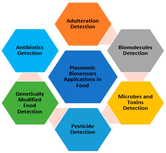 Biology | Free Full-Text | Plasmonic Biosensors: Review