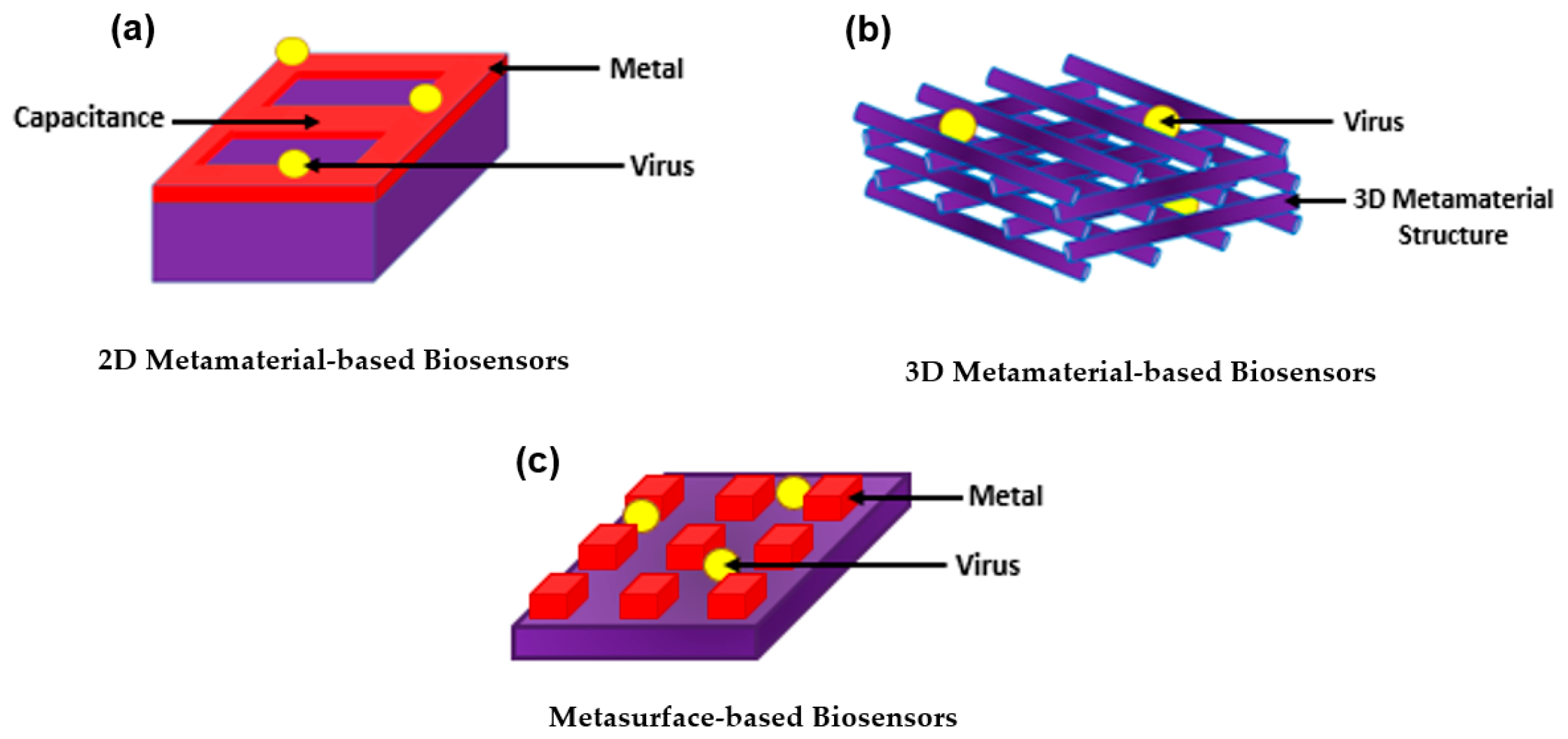 Biology 11 00621 g014 Biology 11 00621 g014