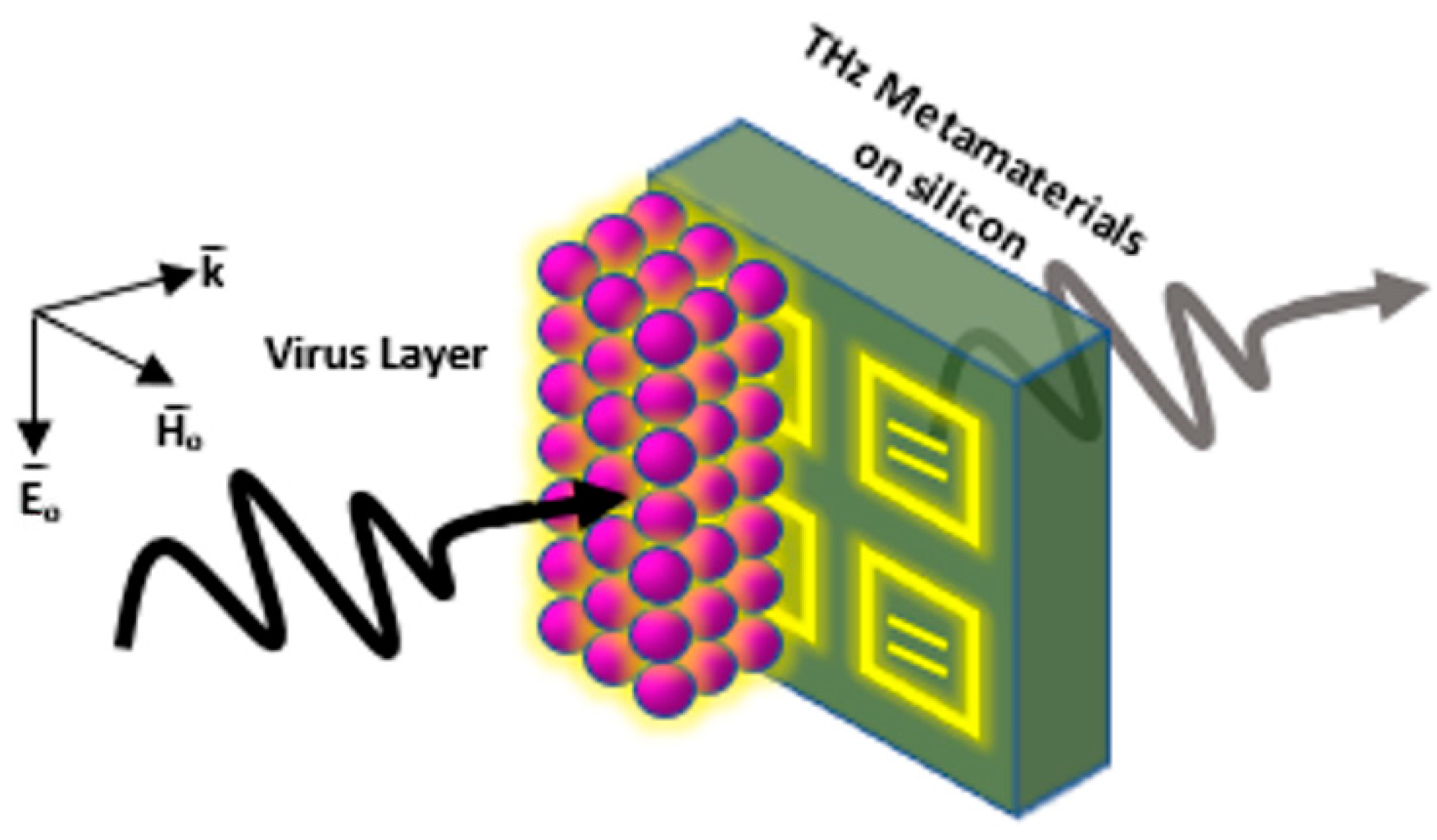 Biology 11 00621 g015 Biology 11 00621 g015