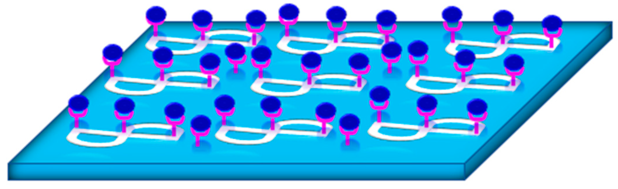 Biology 11 00621 g016 Biology 11 00621 g016