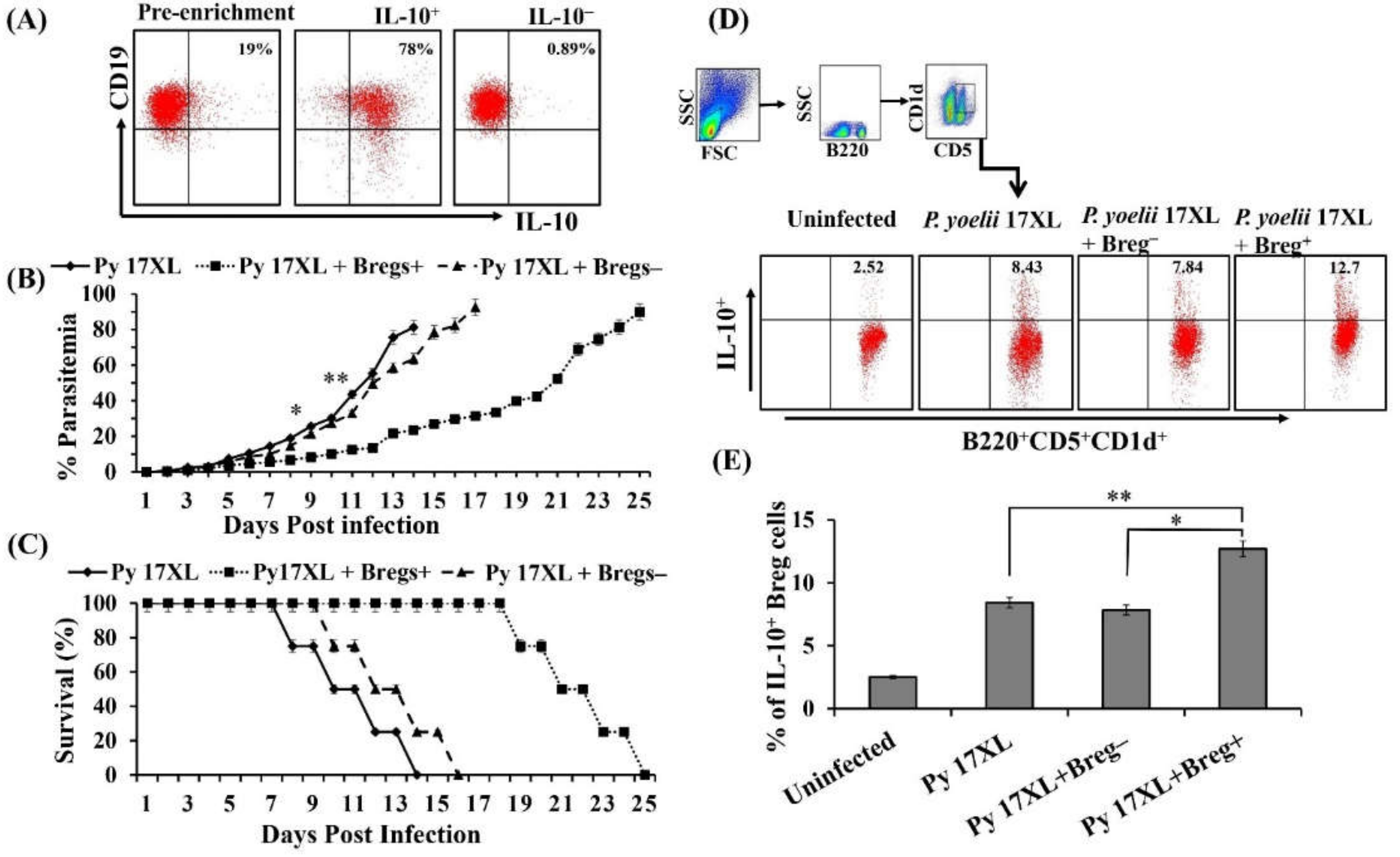 Biology | Free Full-Text | IL-10 Producing Regulatory B Cells Mediated ...