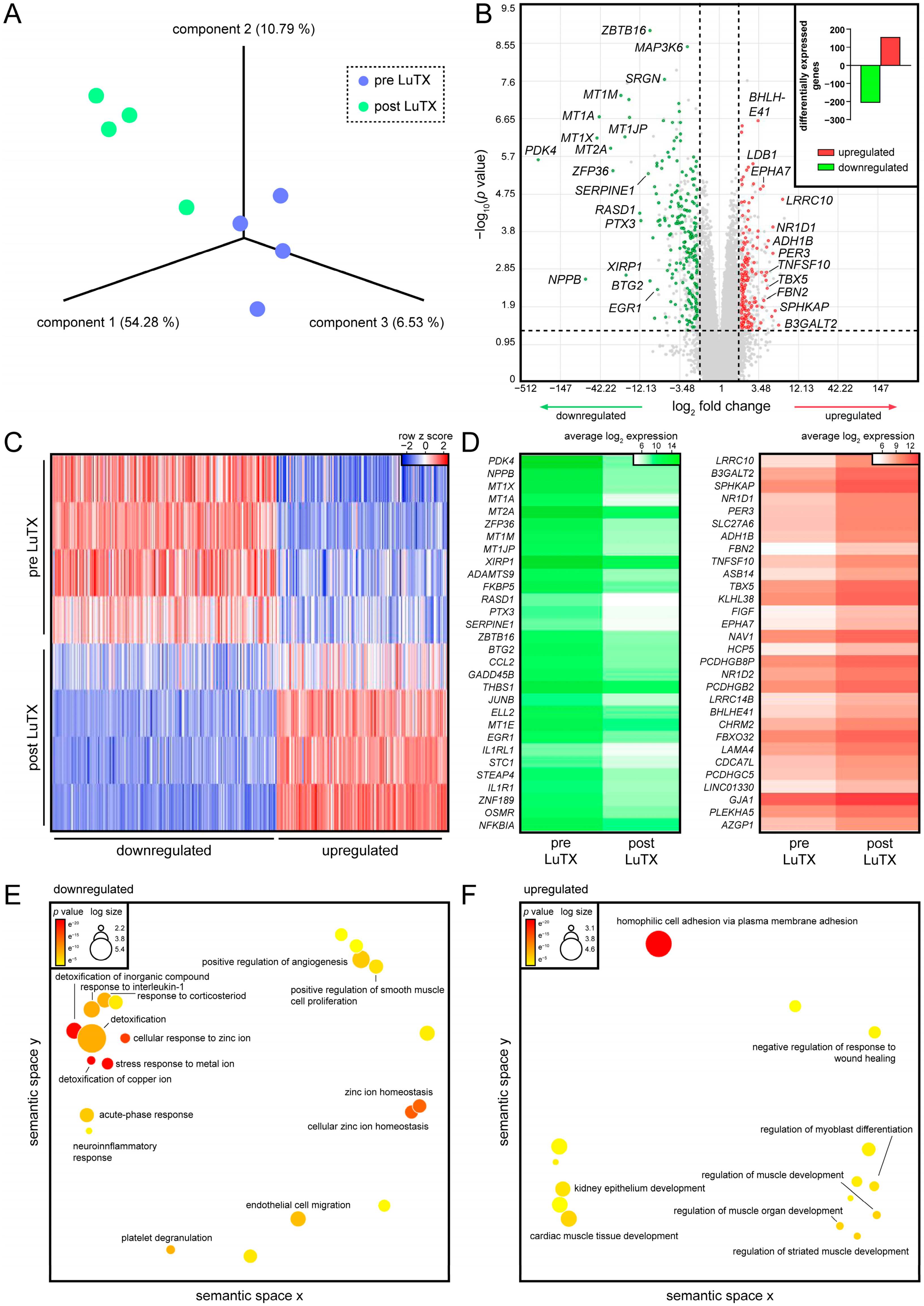 Biology 11 00677 g002