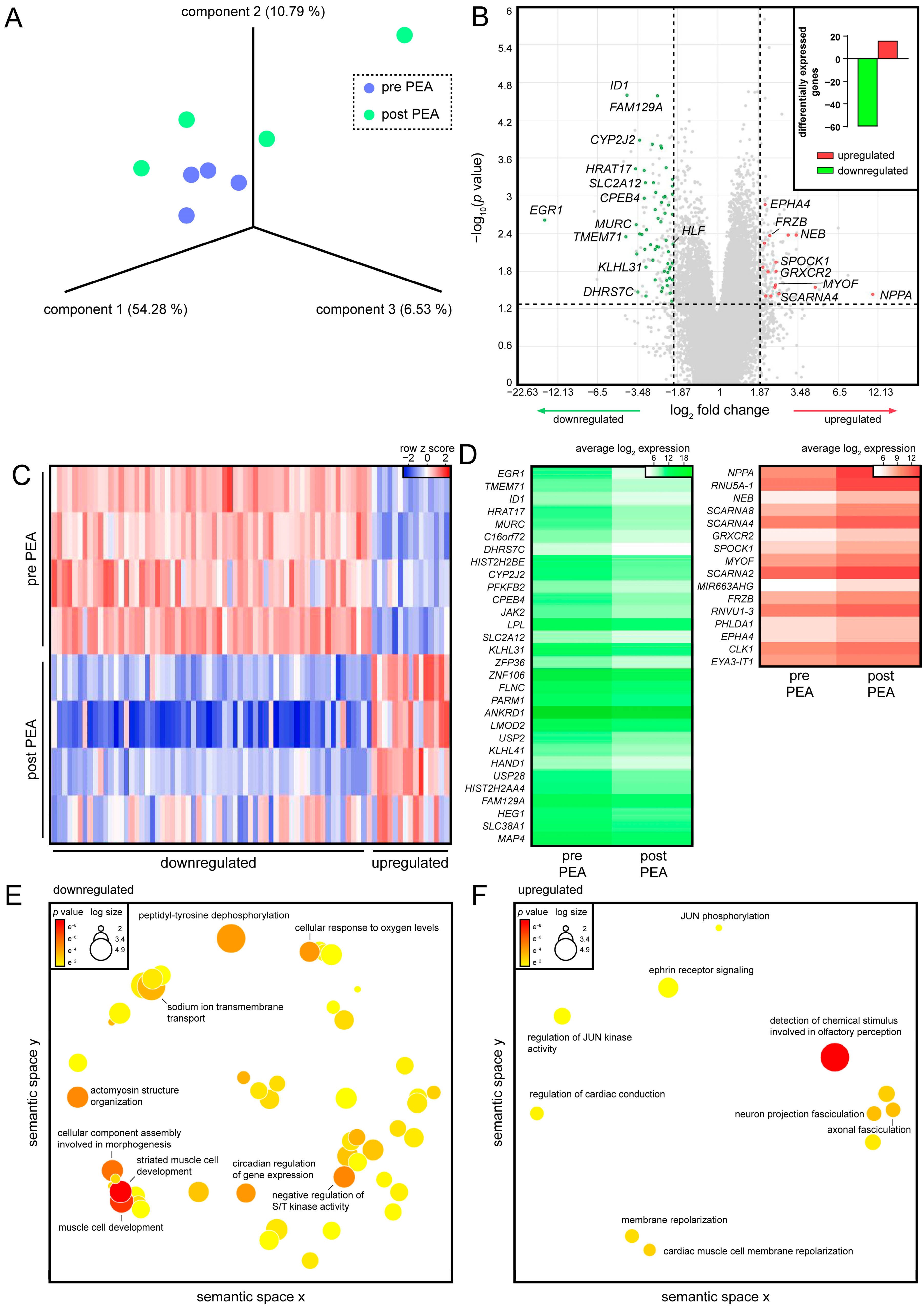 Biology 11 00677 g003