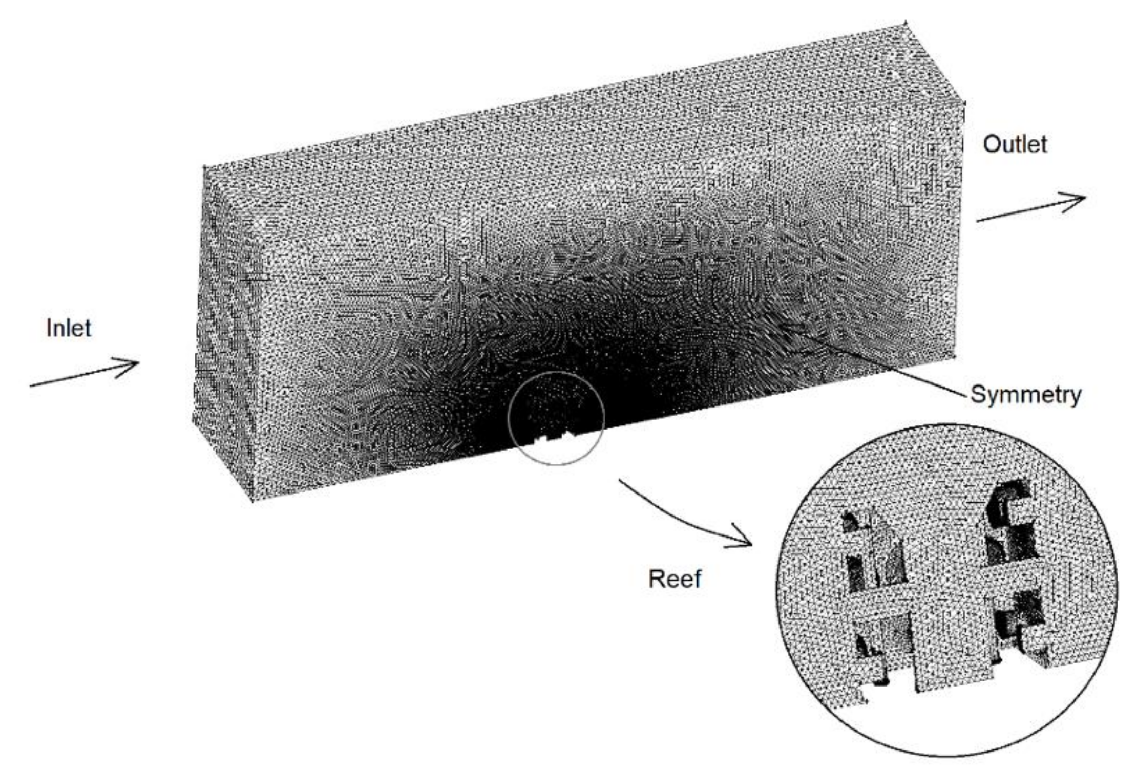 Biology 11 00680 g007 Biology 11 00680 g007