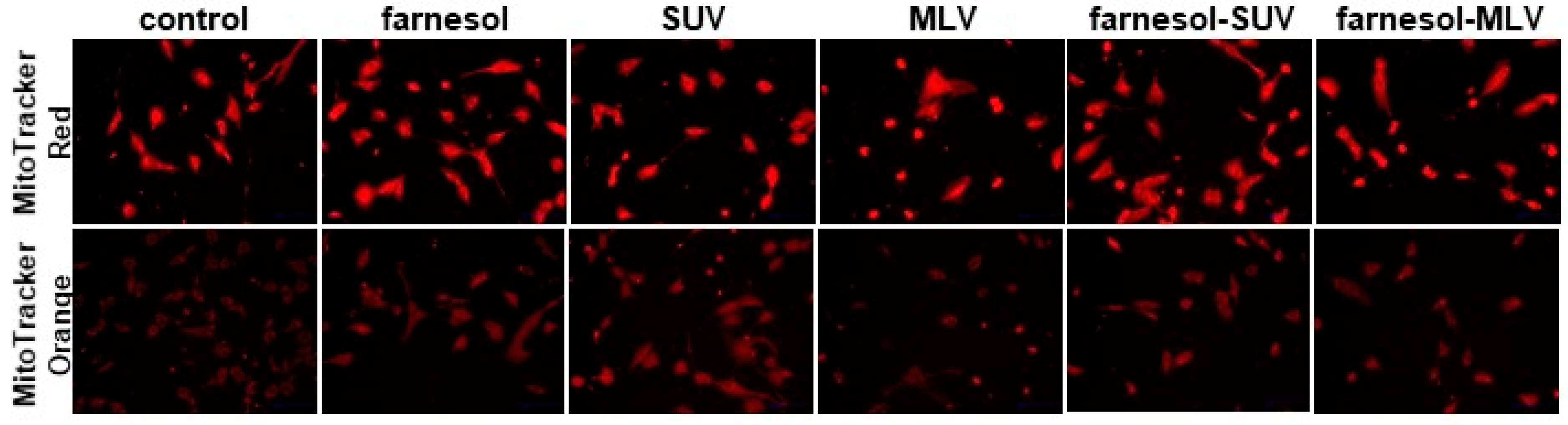 Biology 11 00701 g002
