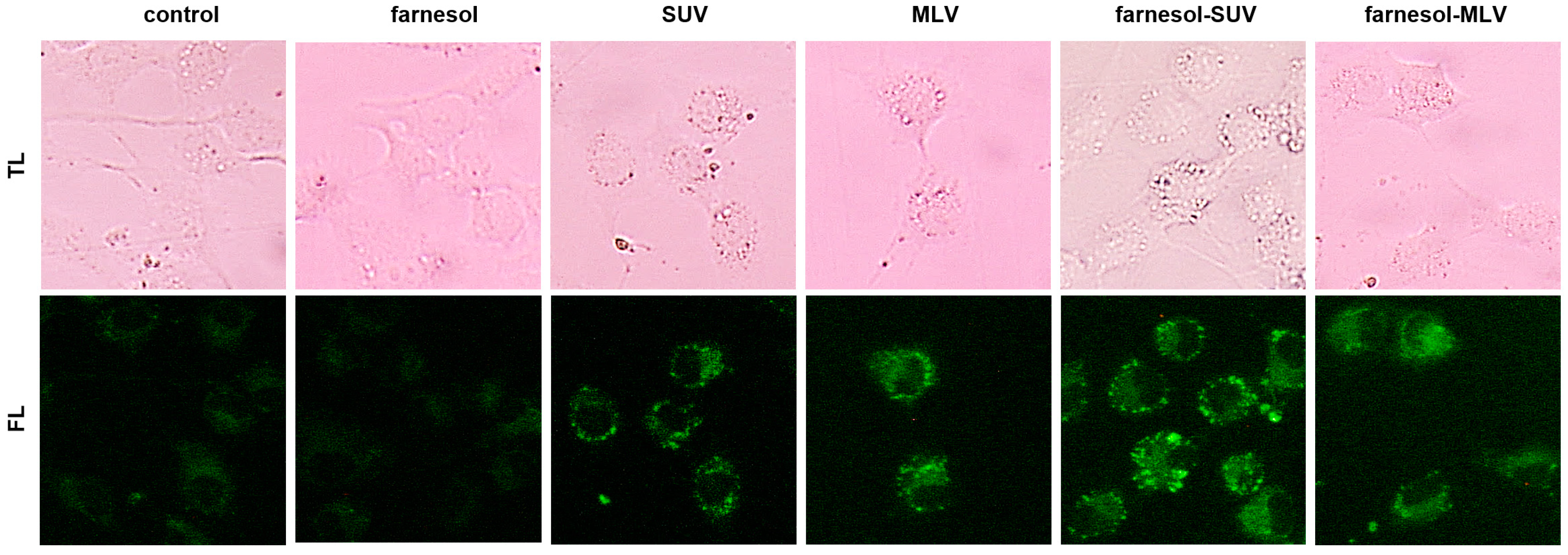 Biology 11 00701 g003
