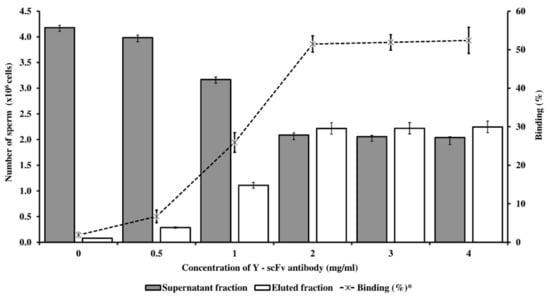 Biology Free Full Text High Efficiency Bovine Sperm Sexing Used Magnetic Activated Cell