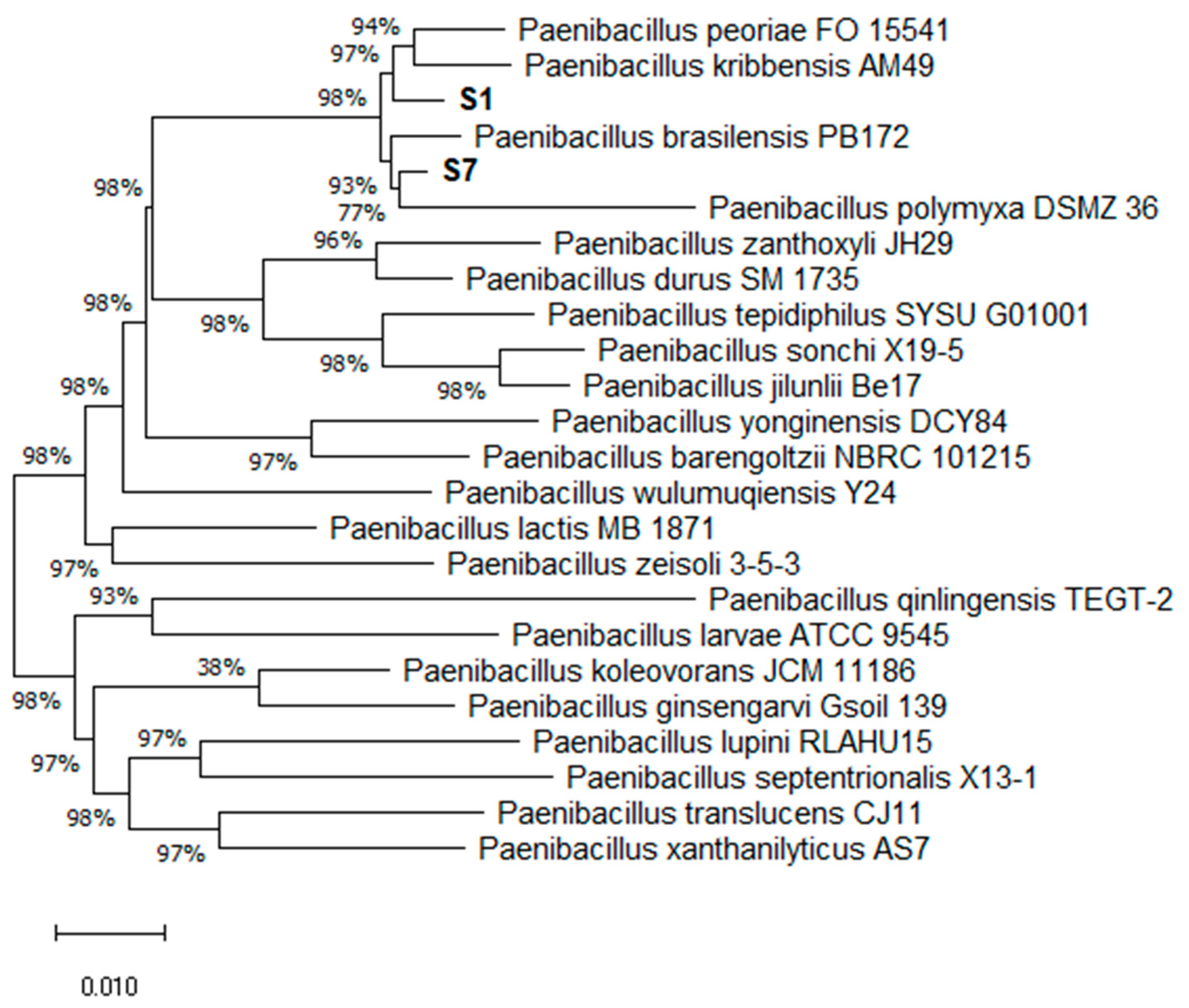 Biology 11 00745 g001