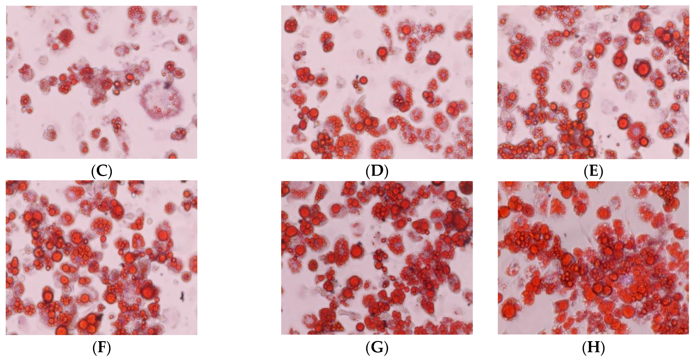 Biology 11 00806 g003b Biology 11 00806 g003b