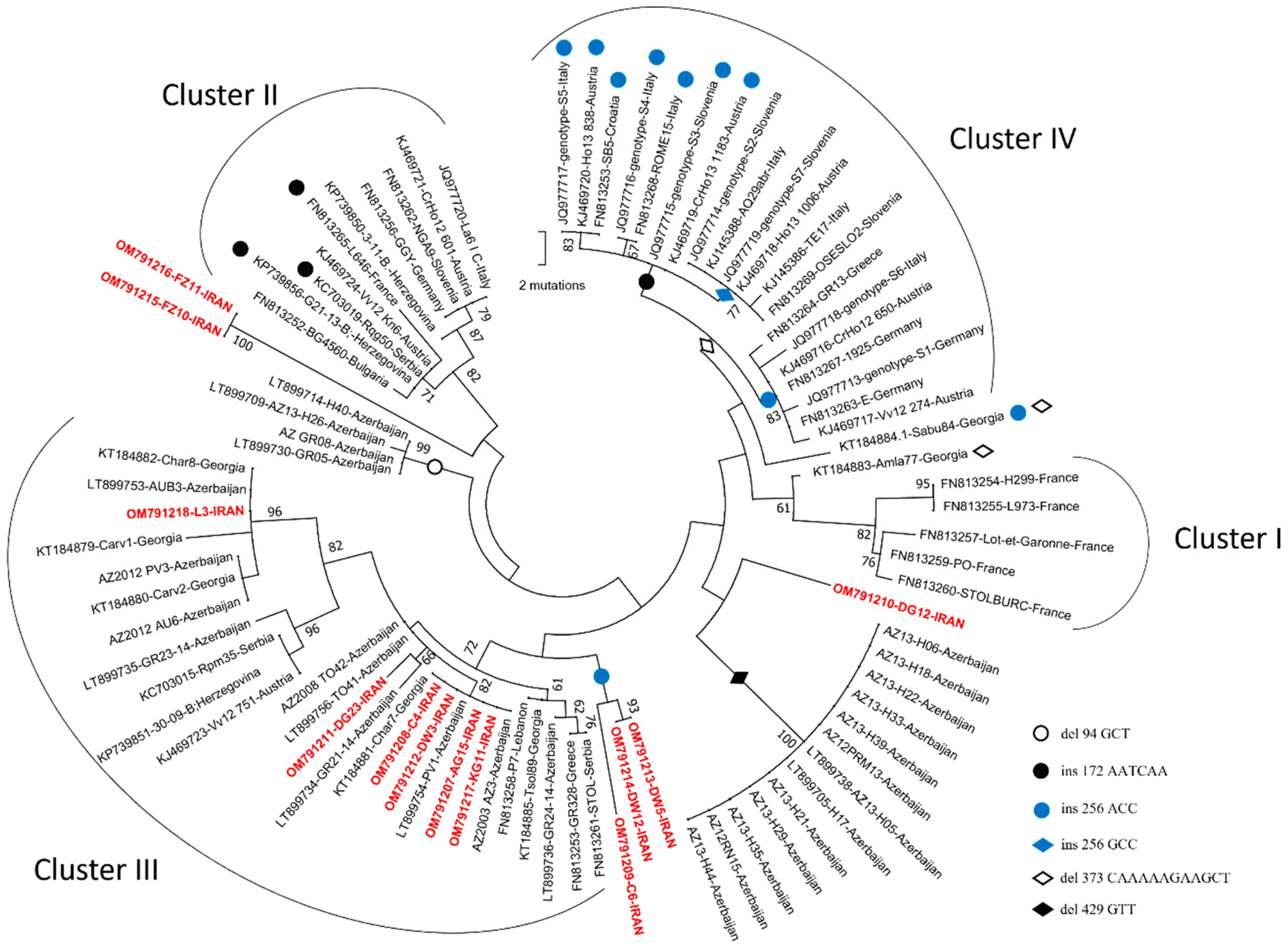 Biology 11 00835 g002 Biology 11 00835 g002