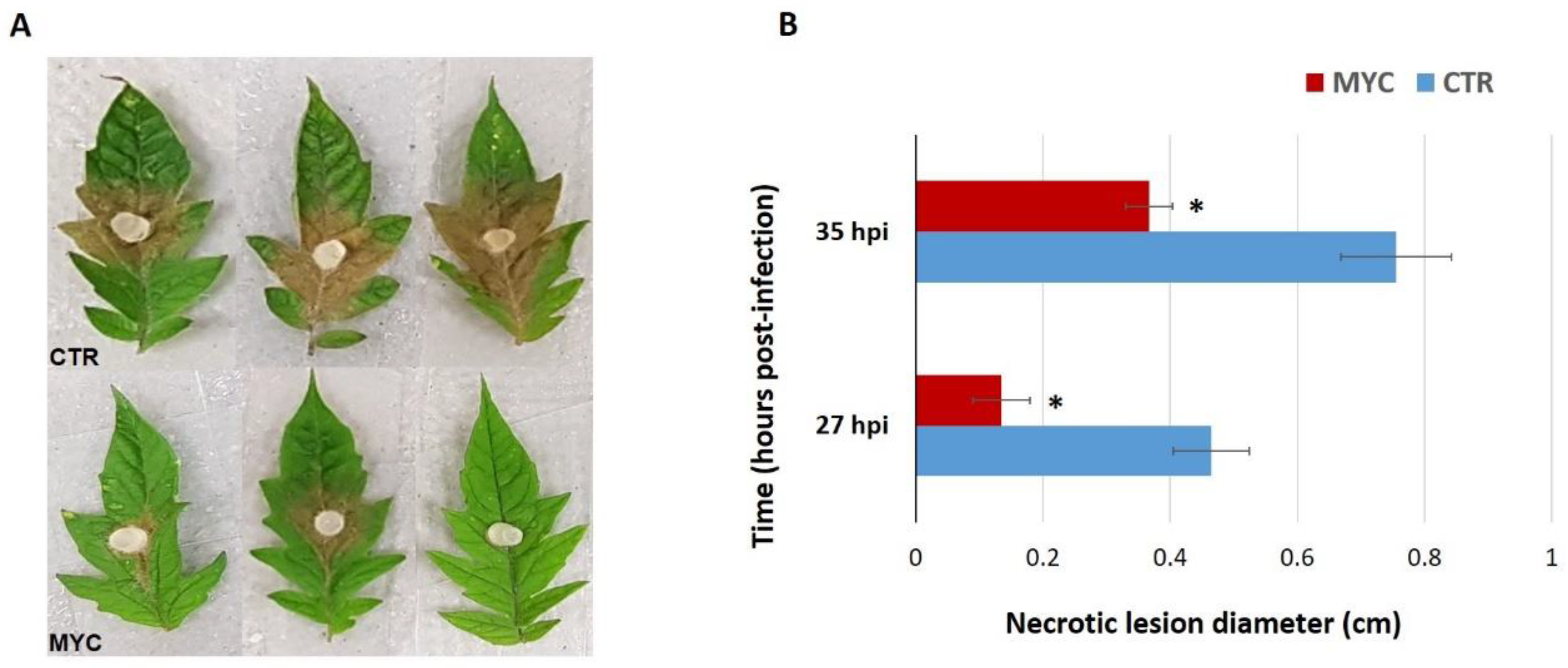 Biology 11 00854 g001 Biology 11 00854 g001